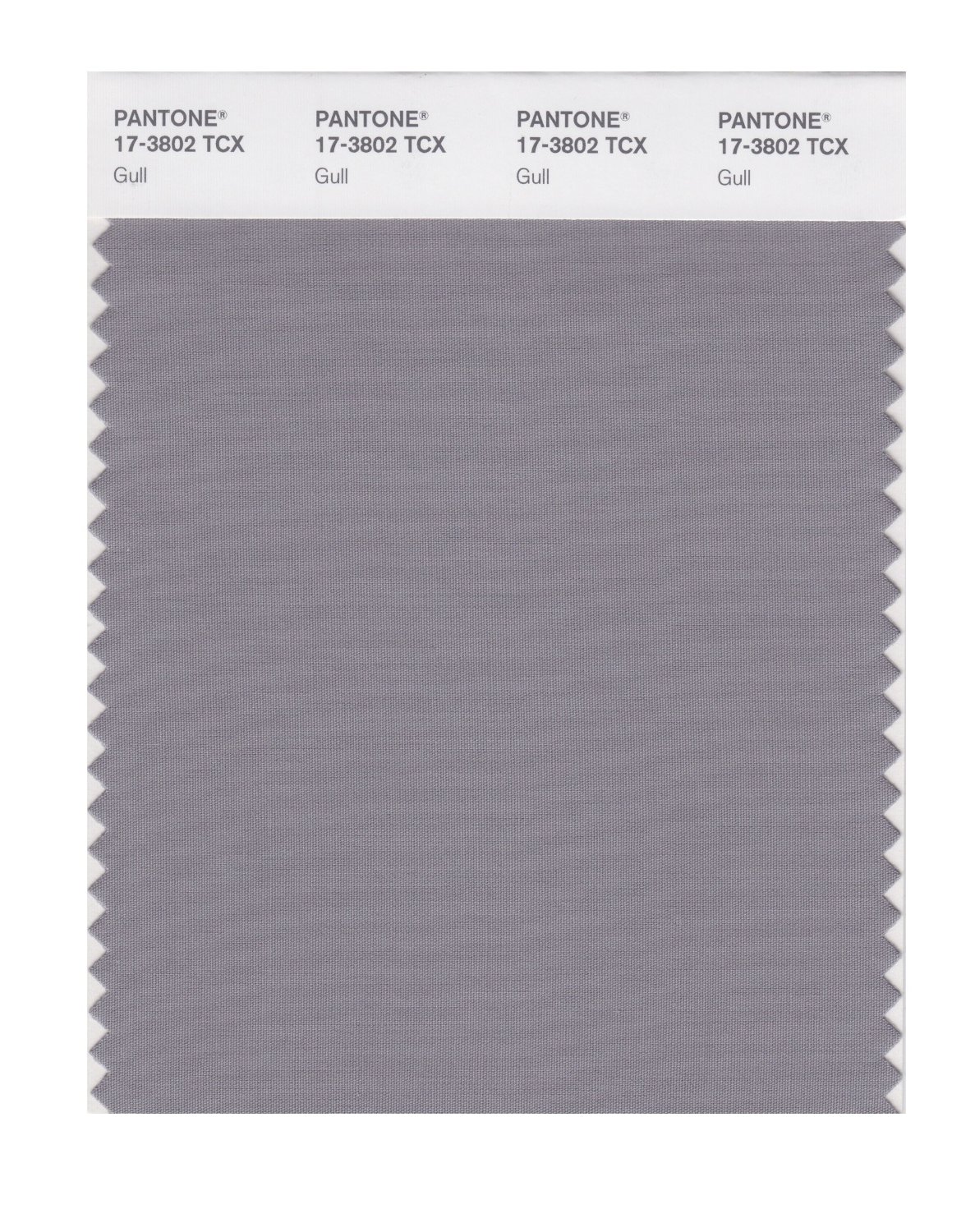 Pantone Cotton Swatch 17-3802 Gull