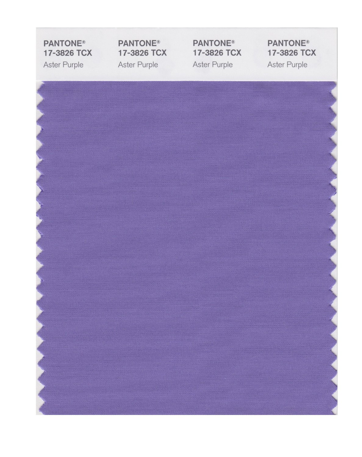 Pantone Cotton Swatch 17-3826 Aster Purple