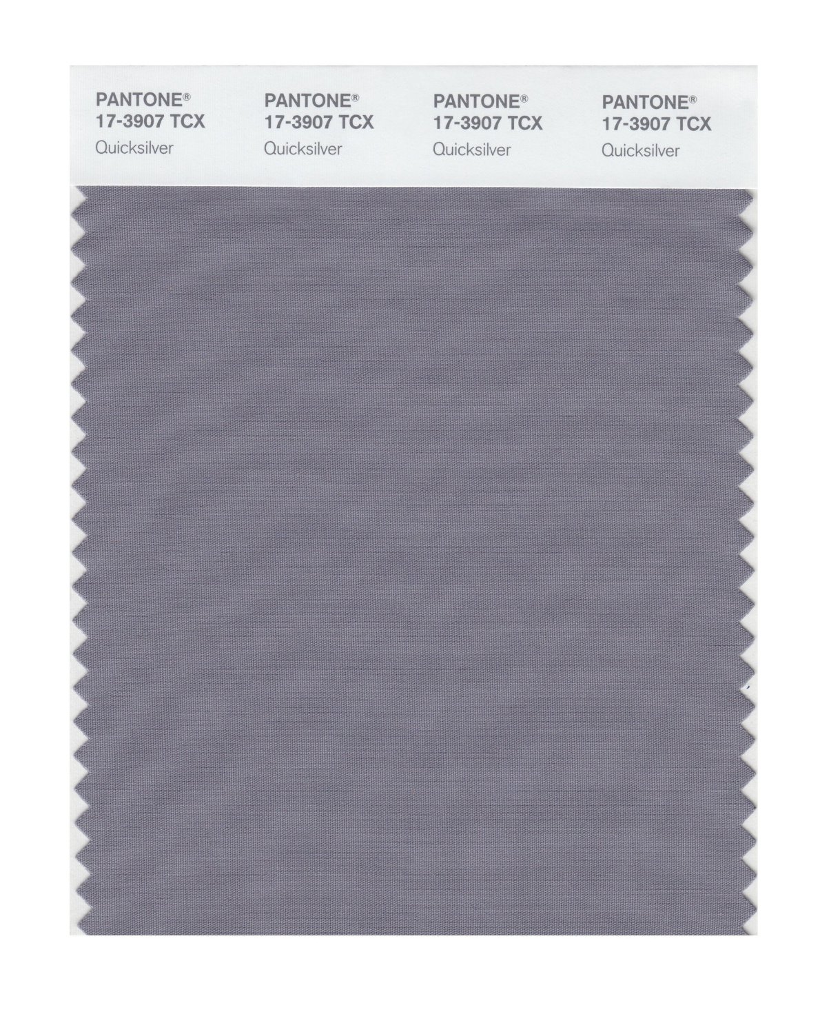 Pantone Cotton Swatch 17-3907 Quicksilver