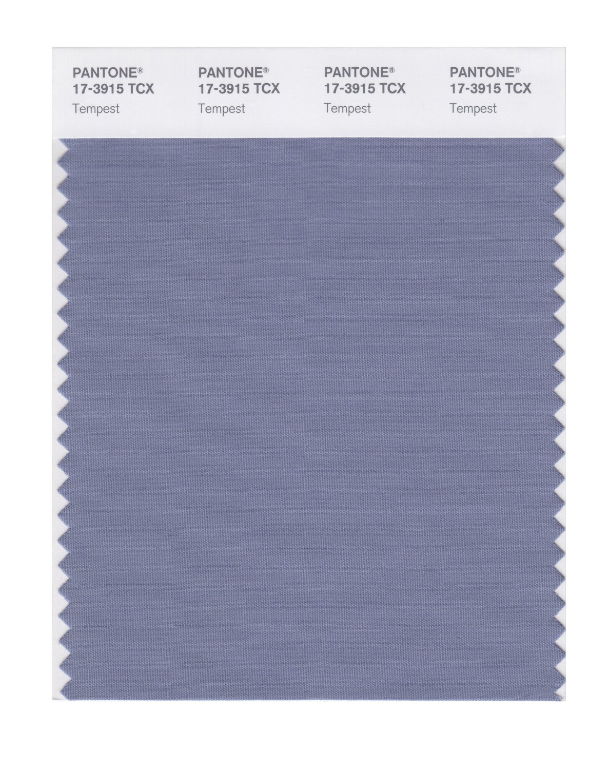 Pantone Cotton Swatch 17-3915 Tempest