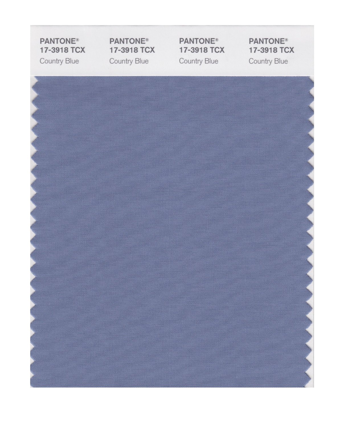 Pantone Cotton Swatch 17-3918 Country Blue