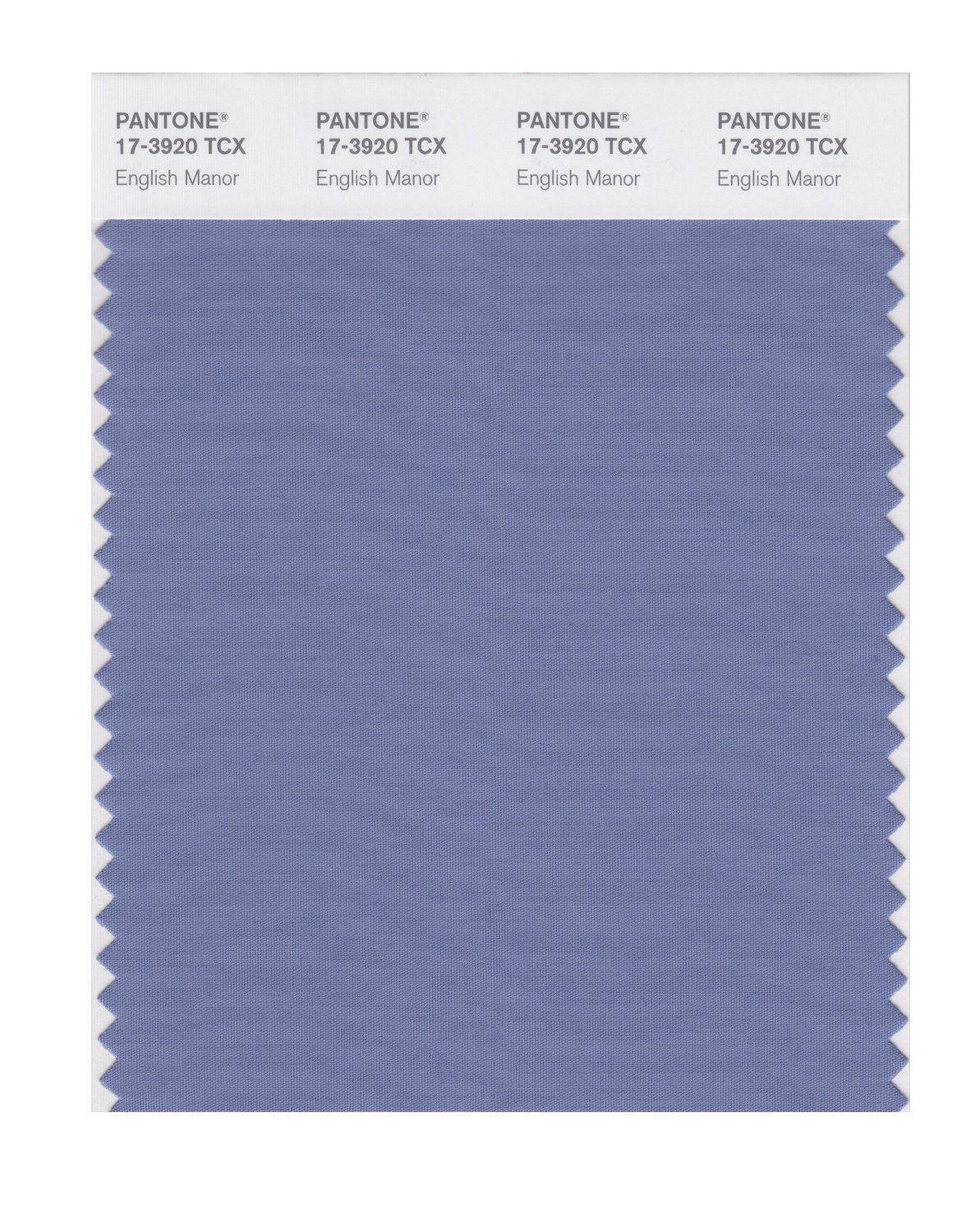 Pantone Cotton Swatch 17-3920 English Manor