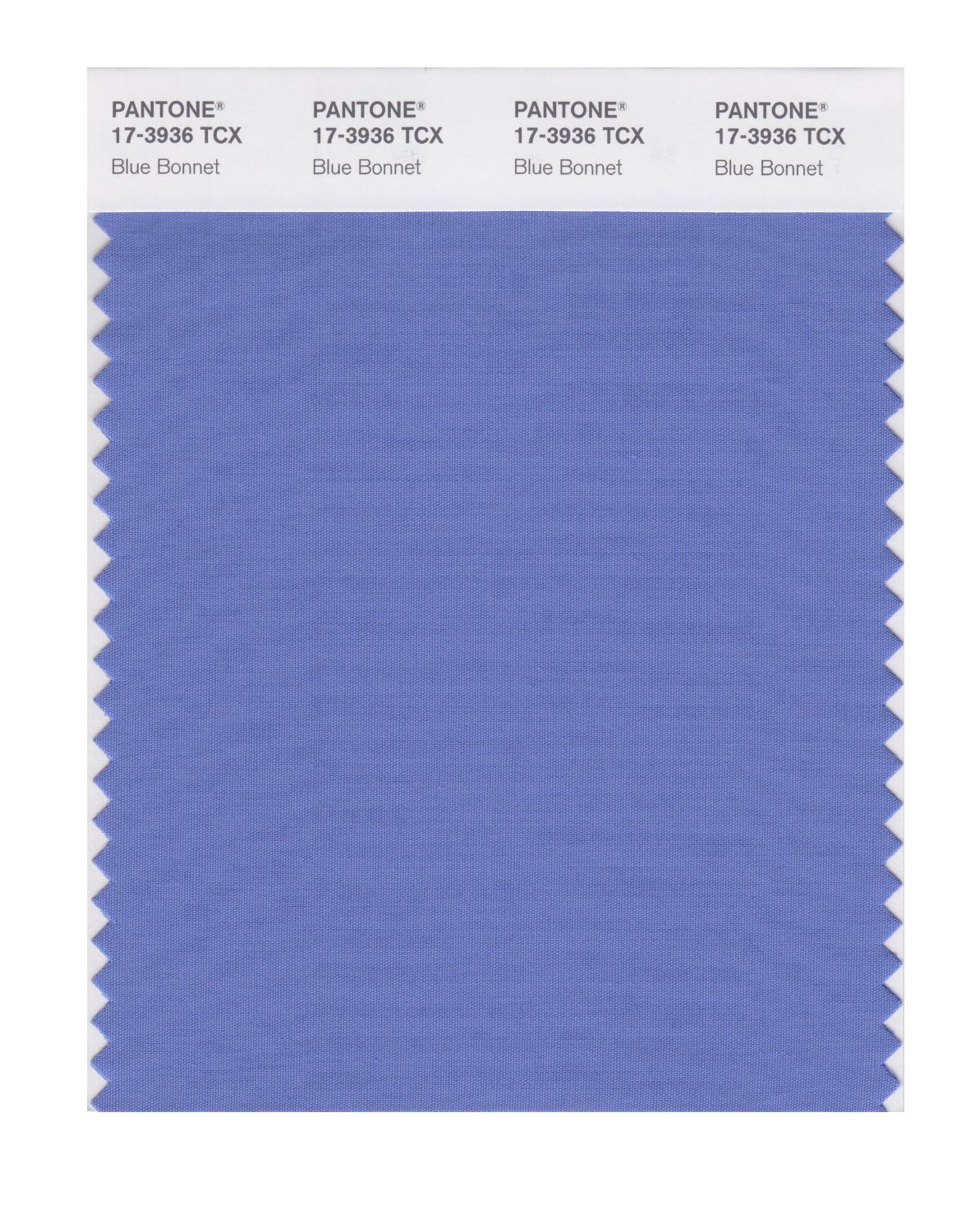 Pantone Cotton Swatch 17-3936 Blue Bonnet