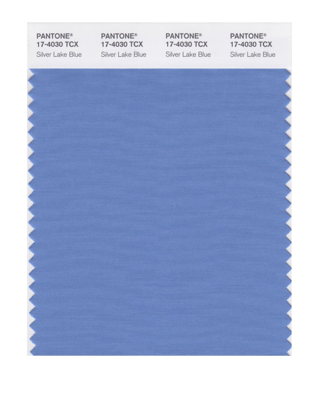 Pantone Cotton Swatch 17-4030 Silver Lake Blu