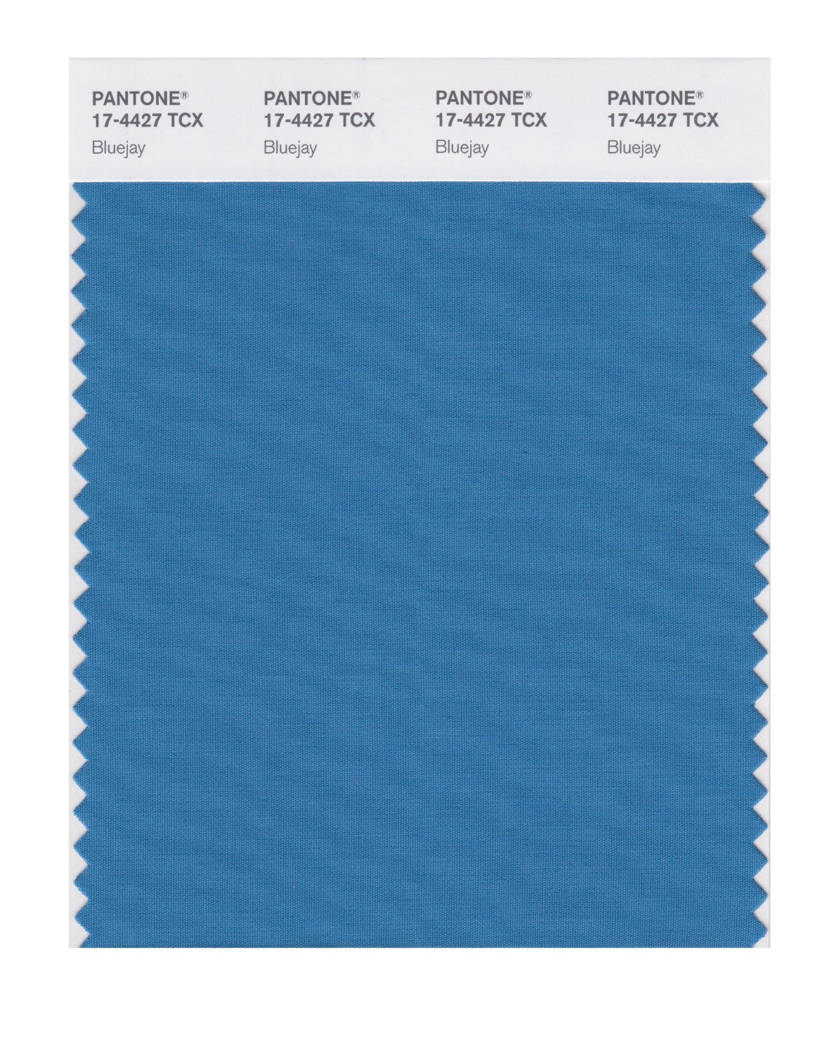 Pantone Cotton Swatch 17-4427 Bluejay