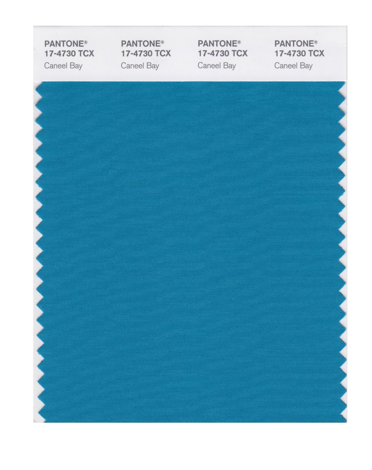 Pantone Cotton Swatch 17-4730 Caneel Bay