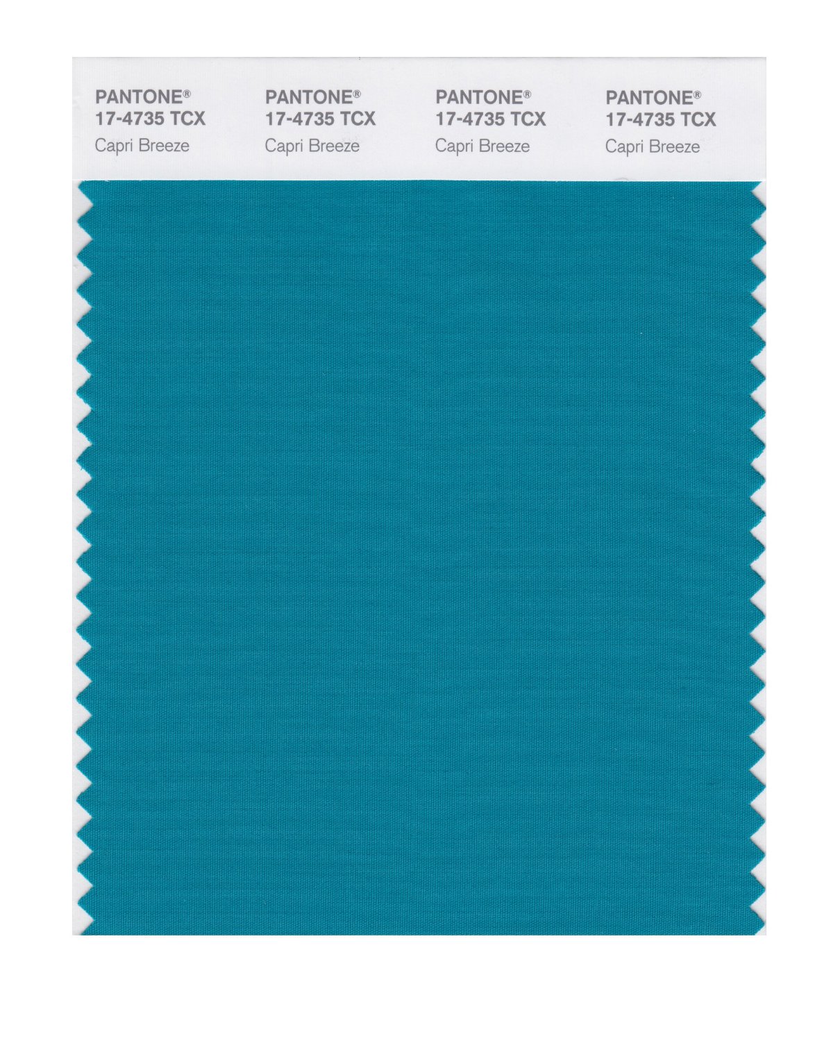 Pantone Cotton Swatch 17-4735 Capri Breeze