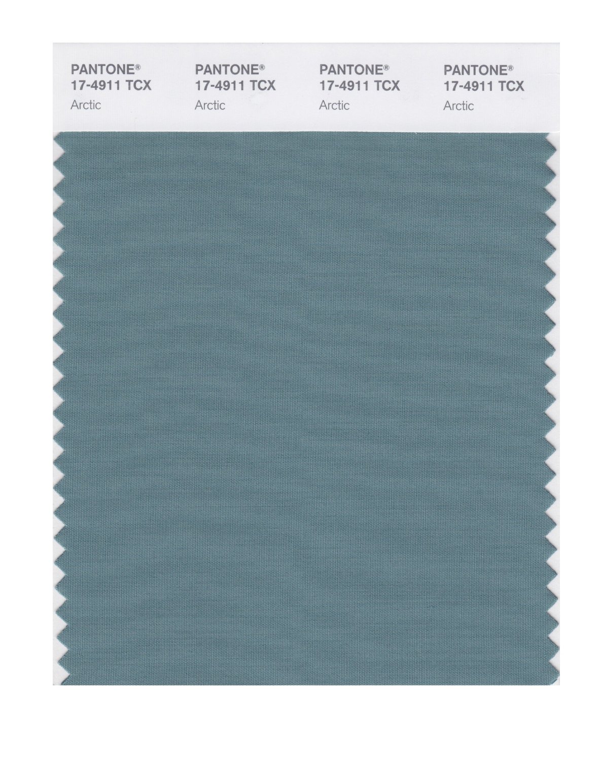 Pantone Cotton Swatch 17-4911 Arctic