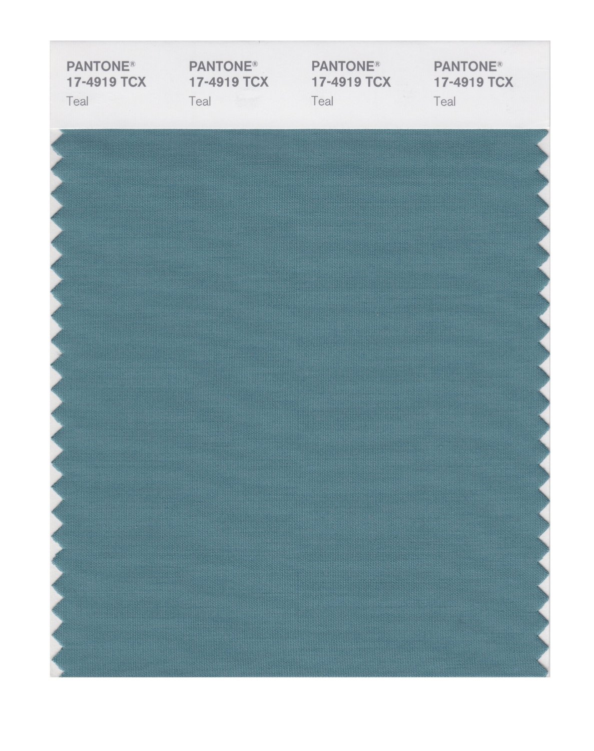 Pantone Cotton Swatch 17-4919 Teal