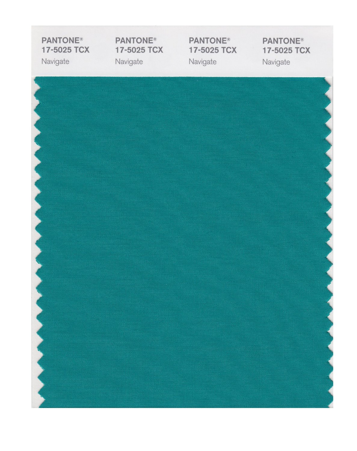 Pantone Cotton Swatch 17-5025 Navigate