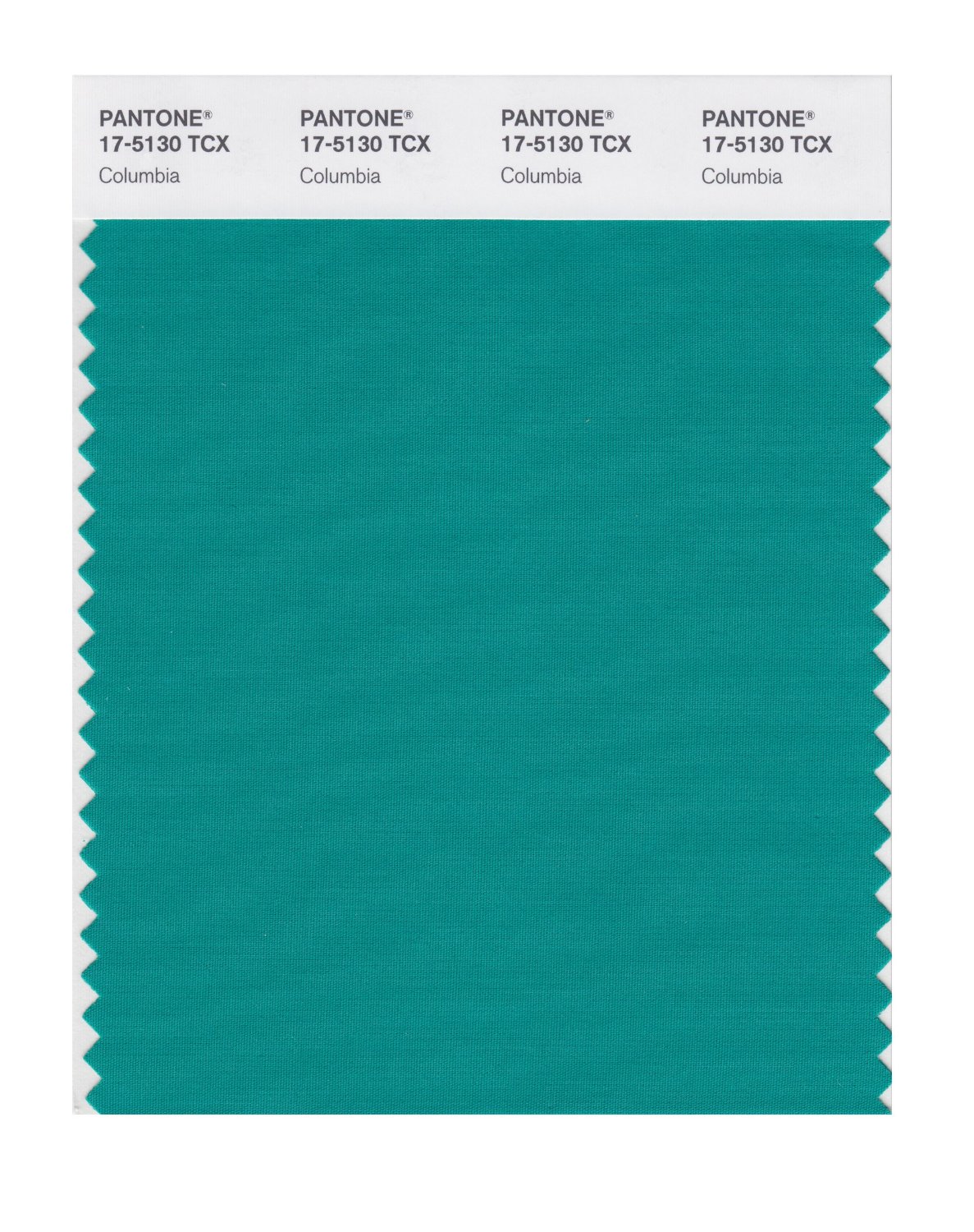 Pantone Cotton Swatch 17-5130 Columbia