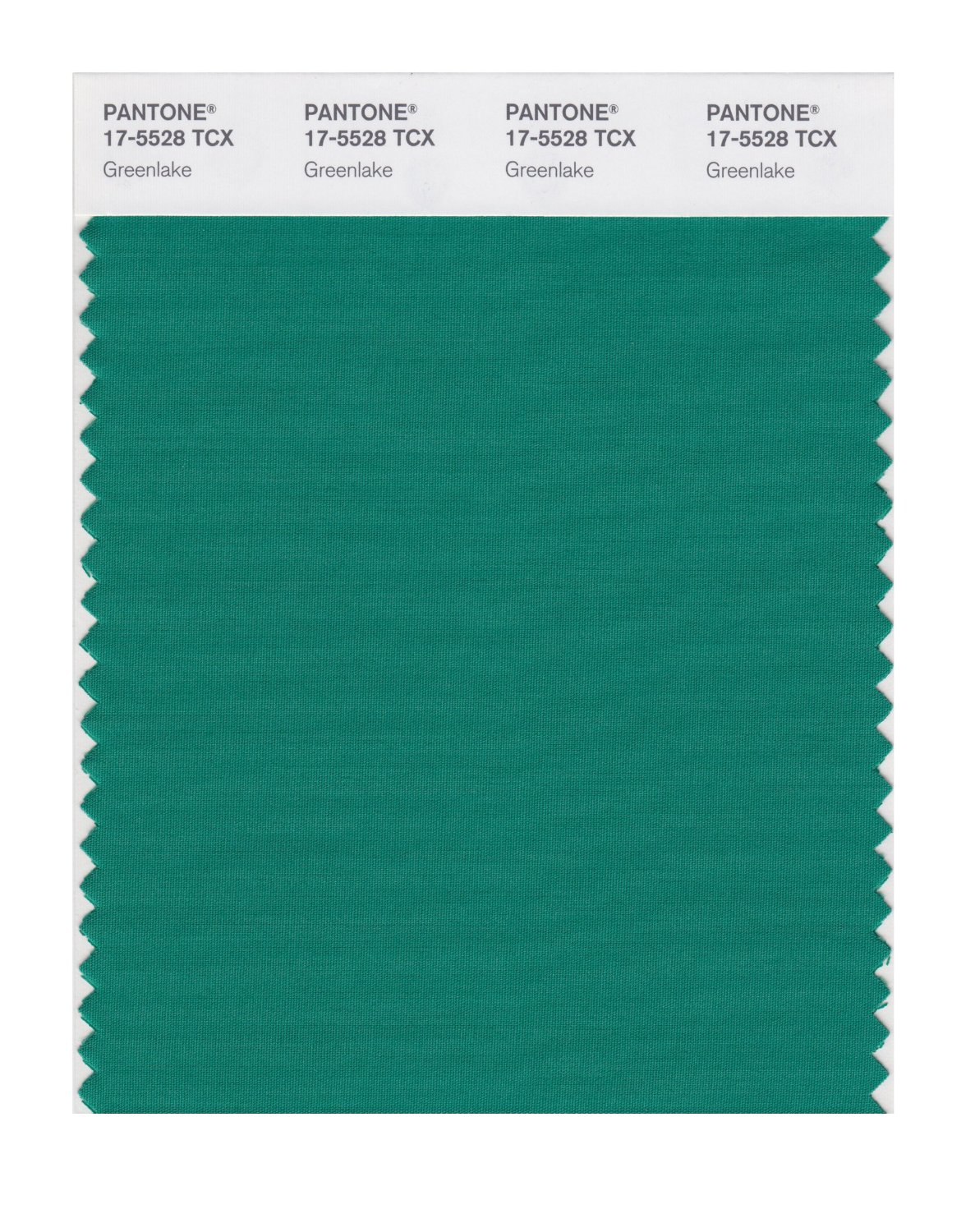 Pantone Cotton Swatch 17-5528 Greenlake