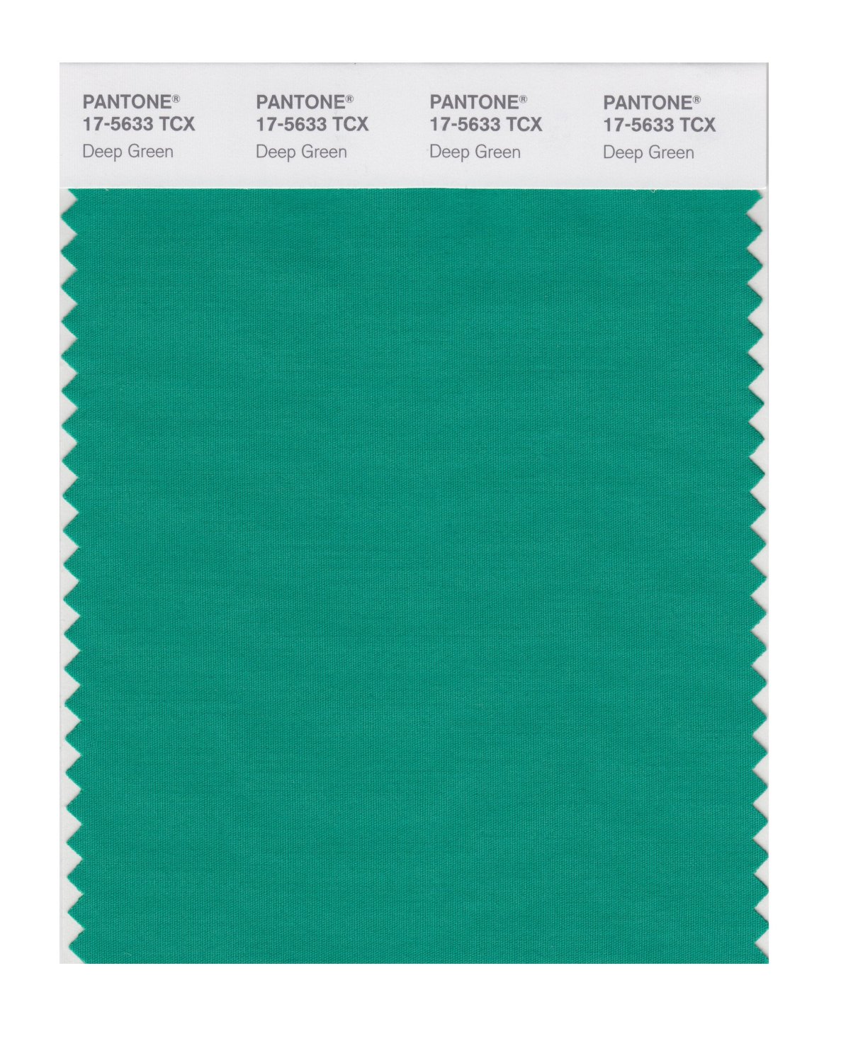 Pantone Cotton Swatch 17-5633 Deep Green