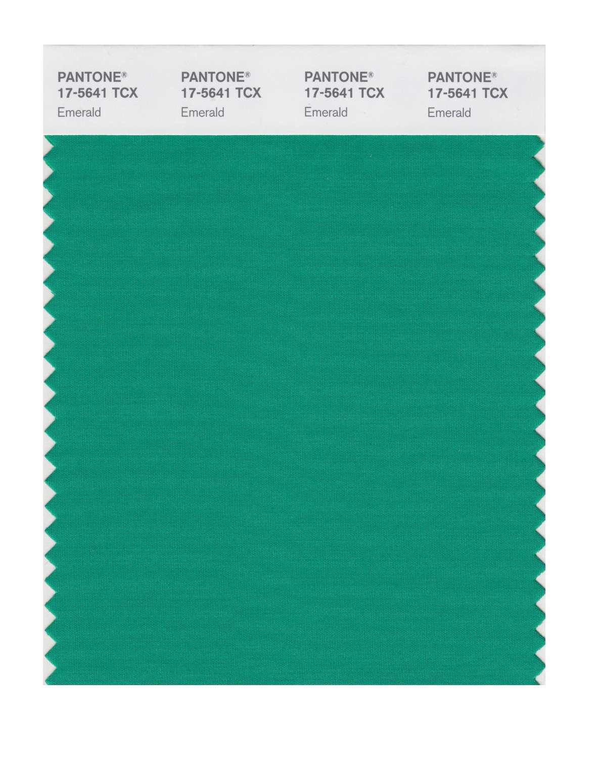 Pantone Cotton Swatch 17-5641 Emerald