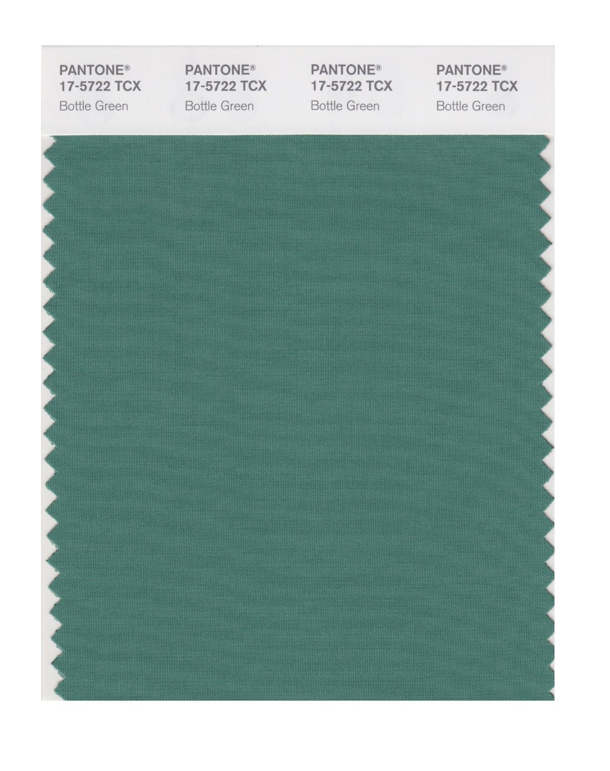 Pantone Cotton Swatch 17-5722 Bottle Green