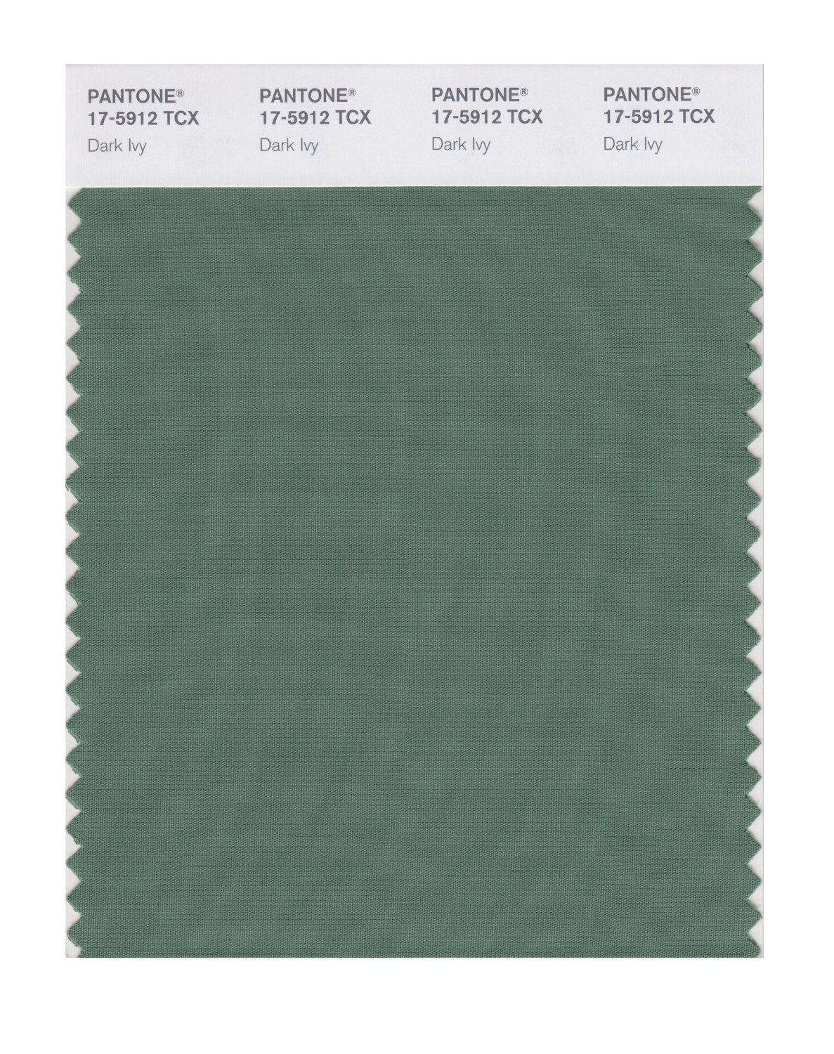 Pantone Cotton Swatch 17-5912 Dark Ivy