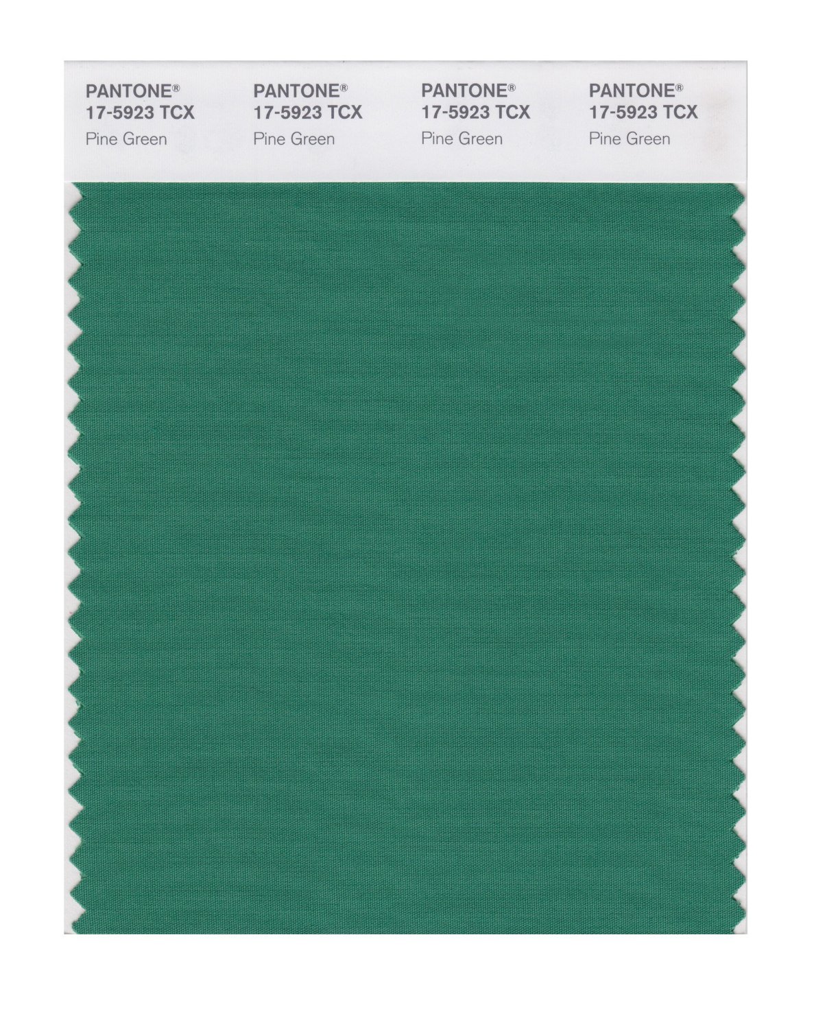Pantone Cotton Swatch 17-5923 Pine Green