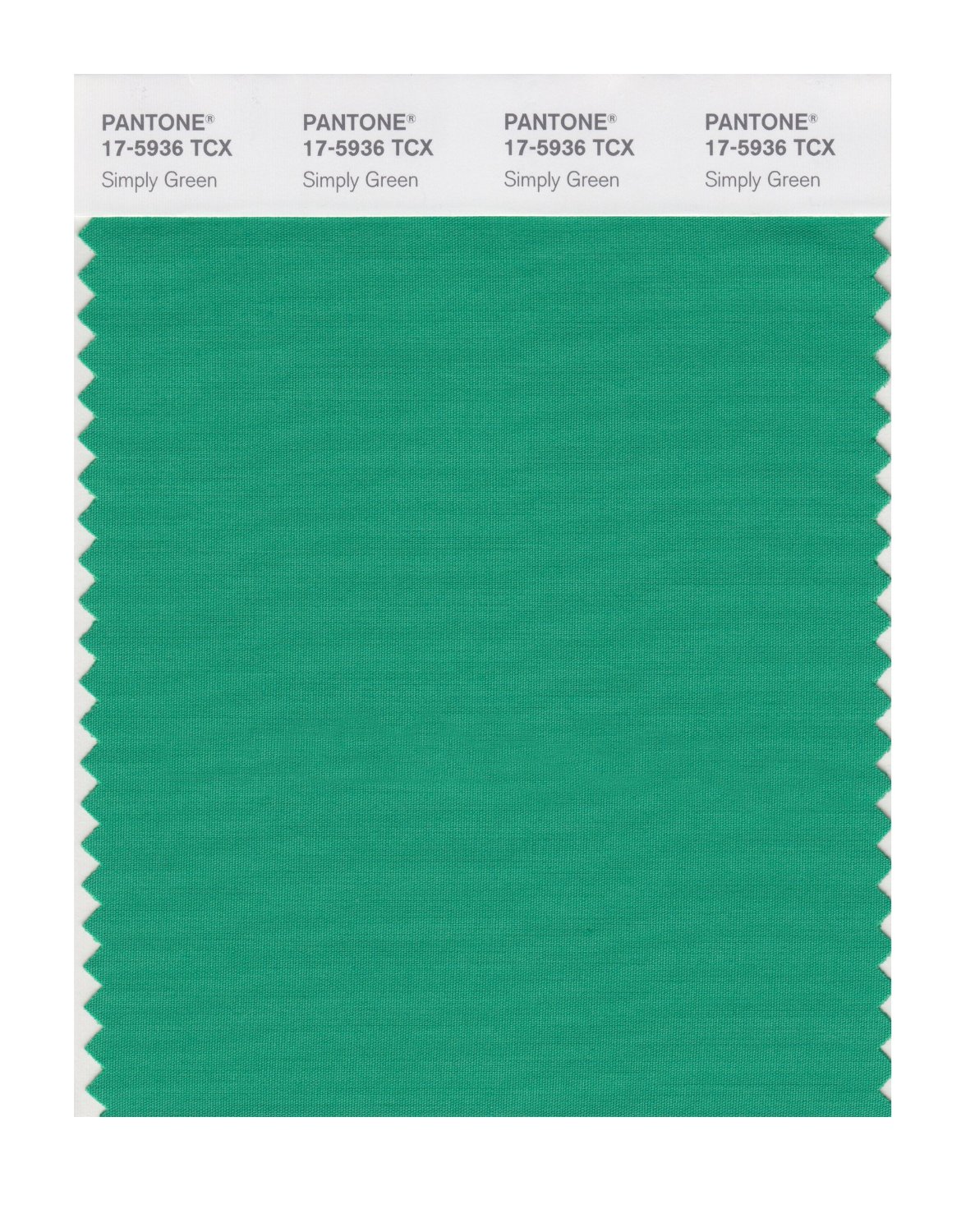 Pantone Cotton Swatch 17-5936 Simply Green