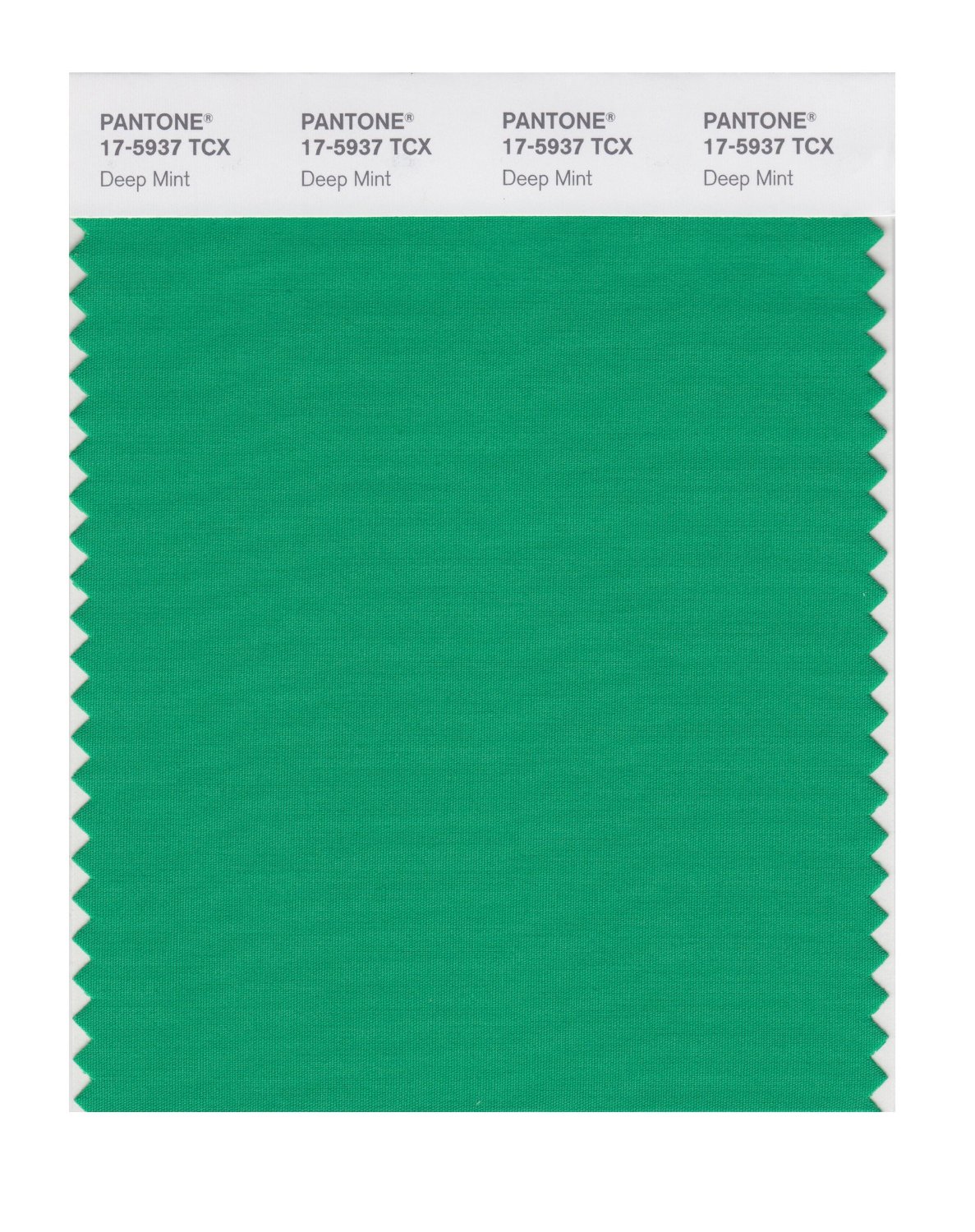 Pantone Cotton Swatch 17-5937 Deep Mint