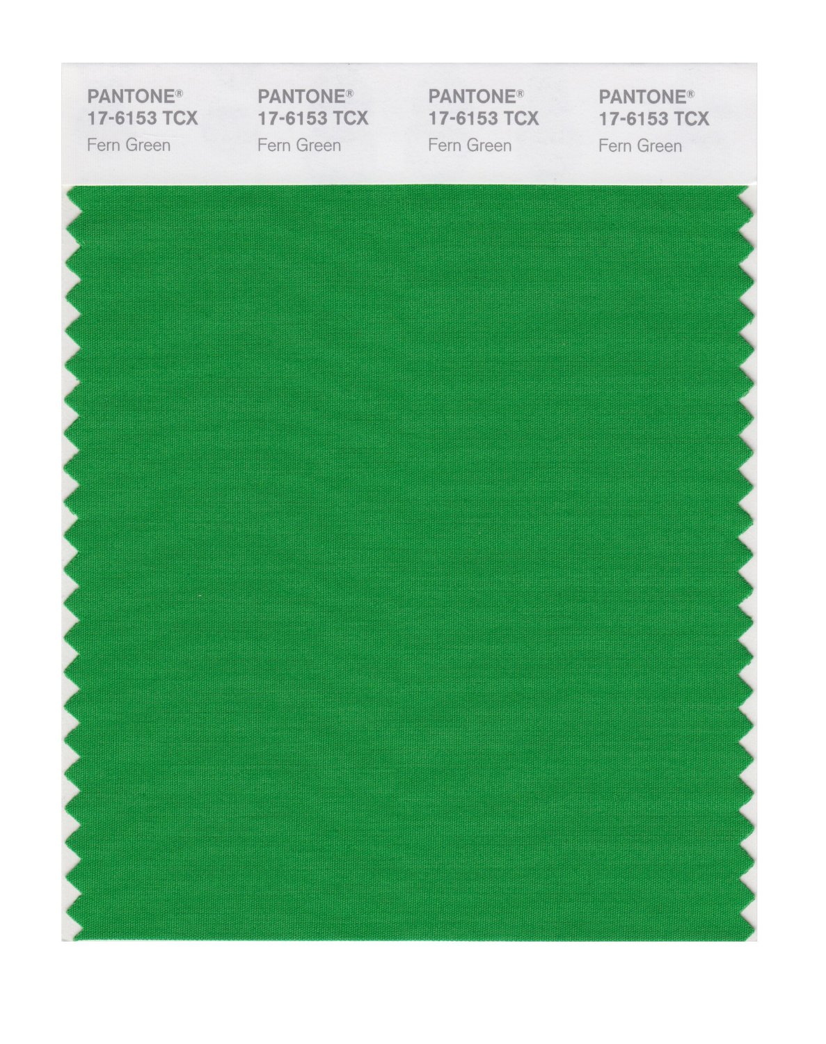 Pantone Cotton Swatch 17-6153 Fern Green