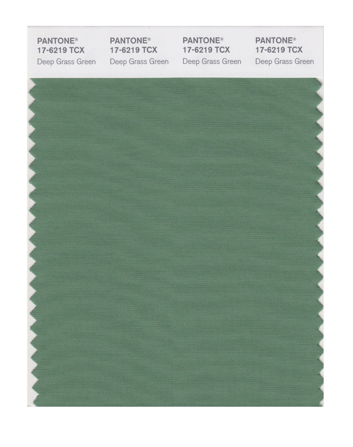 Pantone Cotton Swatch 17-6219 Deep Grass Gree