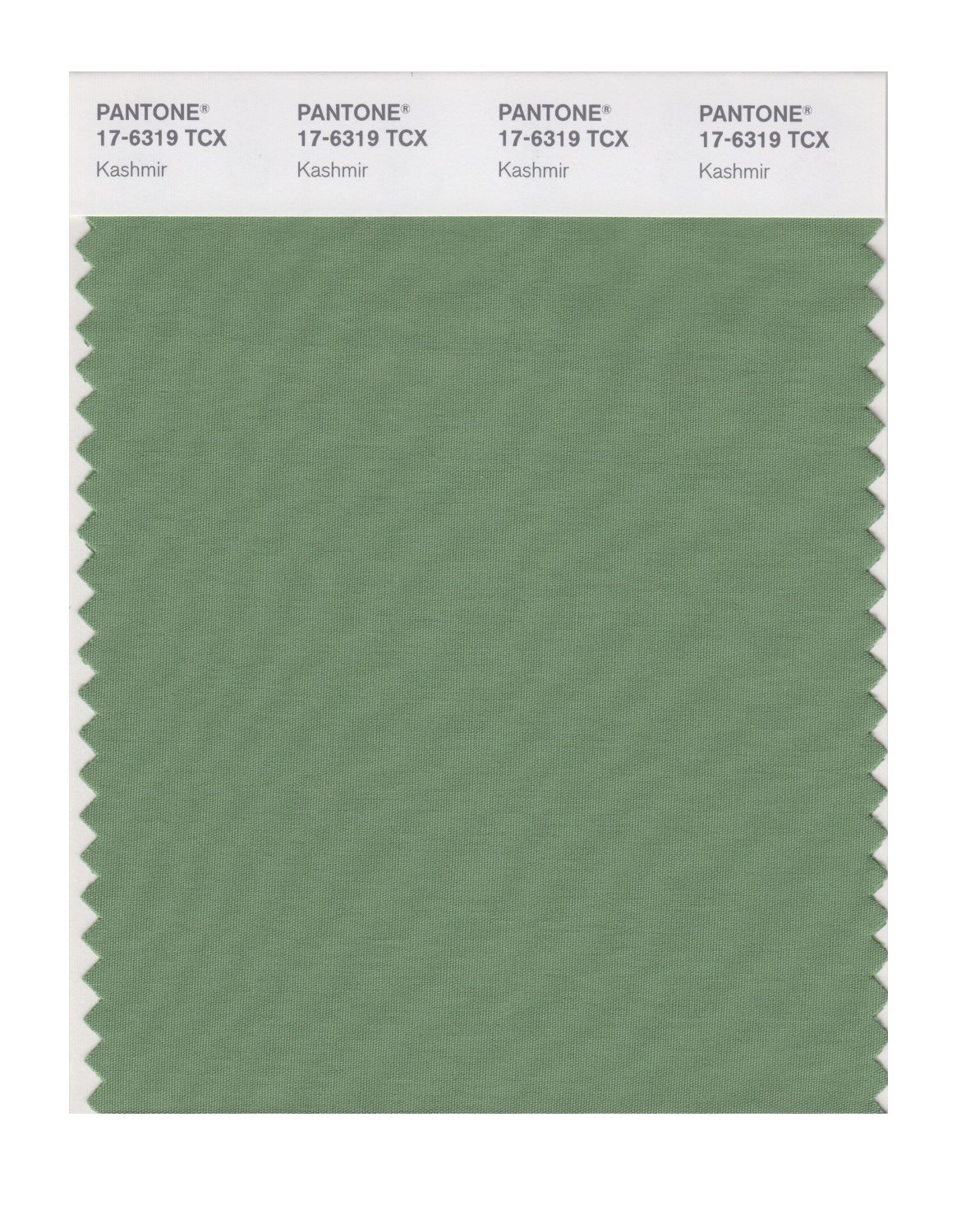 Pantone Cotton Swatch 17-6319 Kashmir