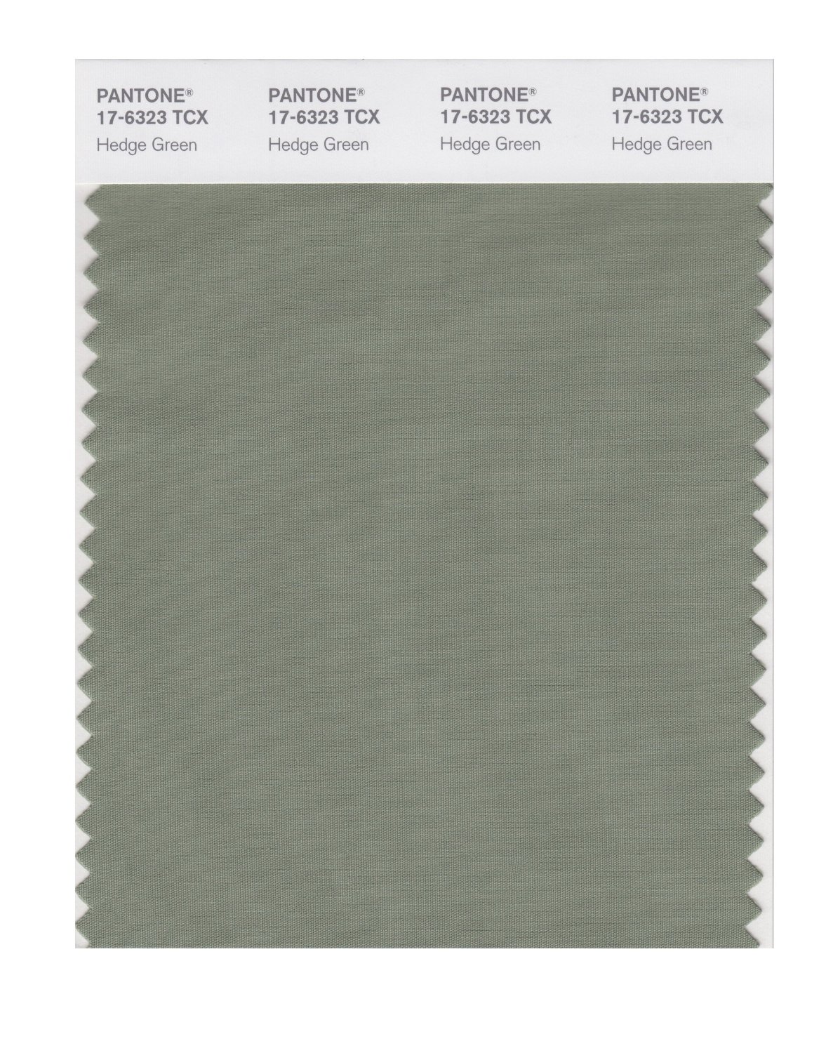 Pantone Cotton Swatch 17-6323 Hedge Green