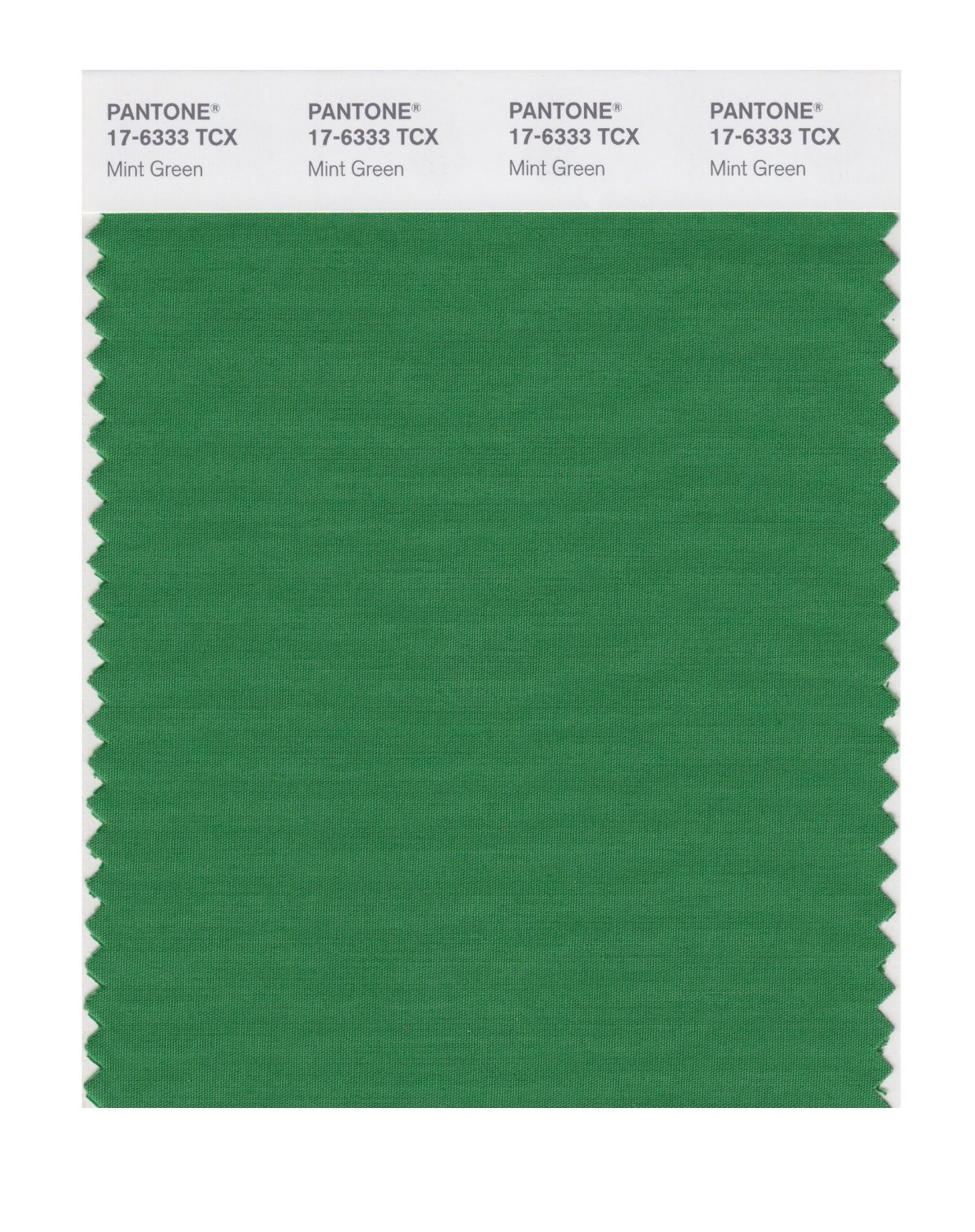 Pantone Cotton Swatch 17-6333 Mint Green