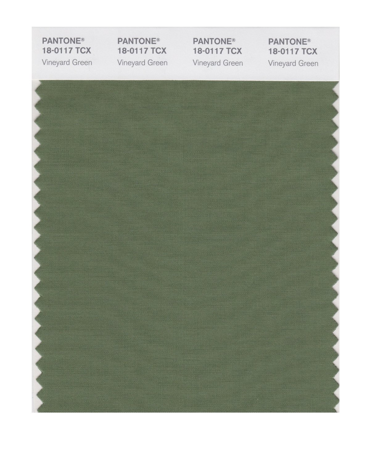 Pantone Cotton Swatch 18-0117 Vineyard Green