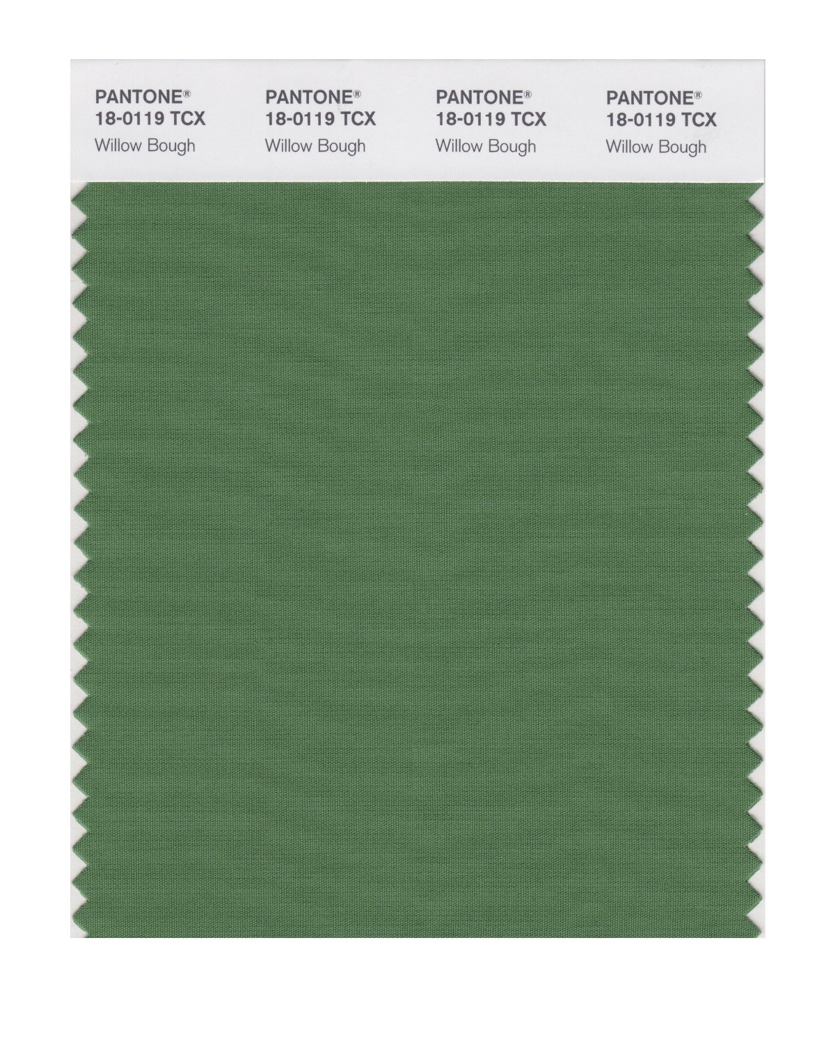 Pantone Cotton Swatch 18-0119 Willow Bough