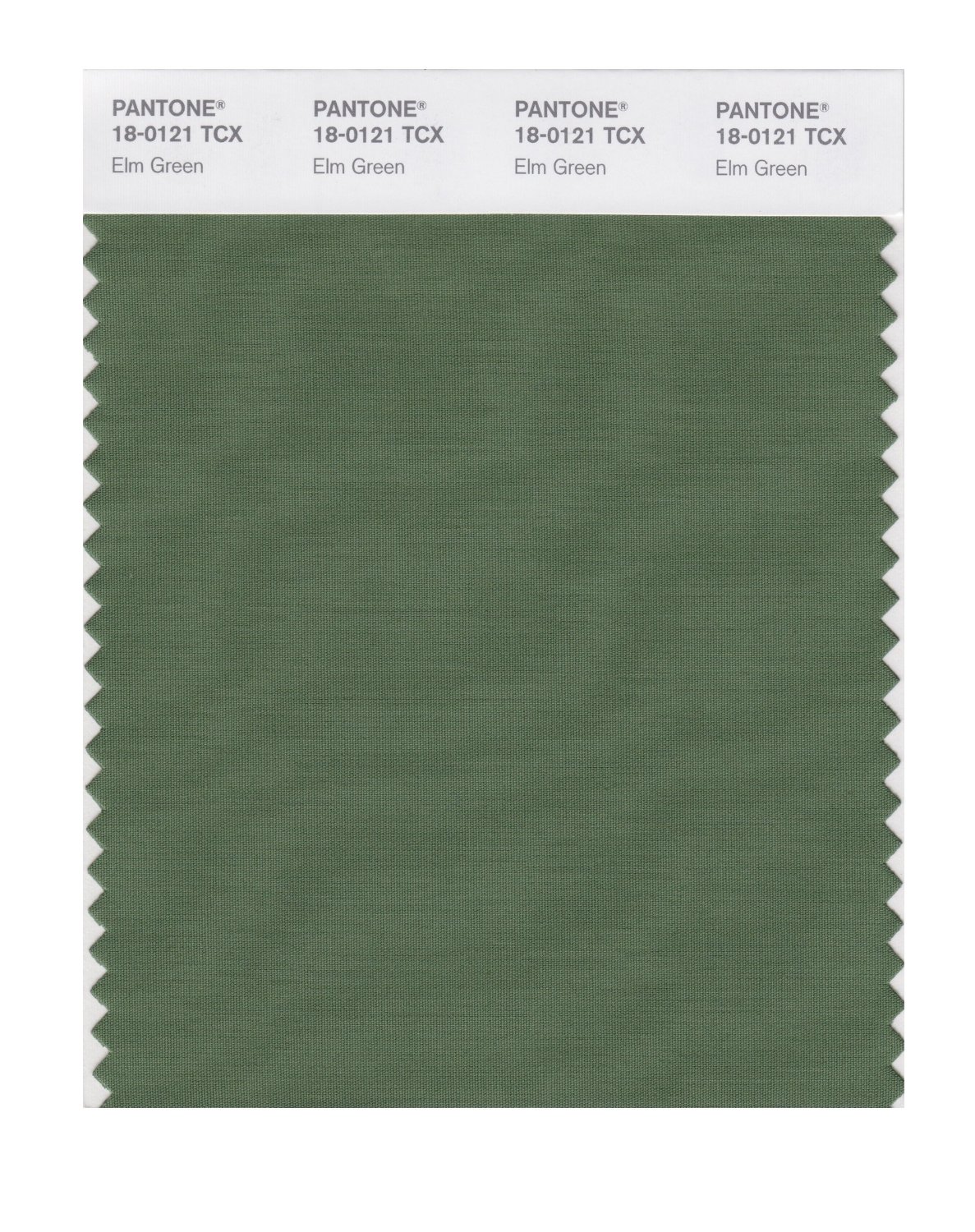 Pantone Cotton Swatch 18-0121 Elm Green