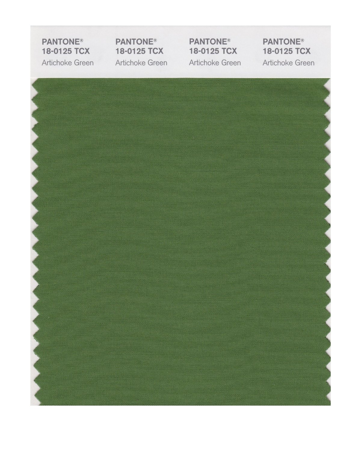 Pantone Cotton Swatch 18-0125 Artichoke Green