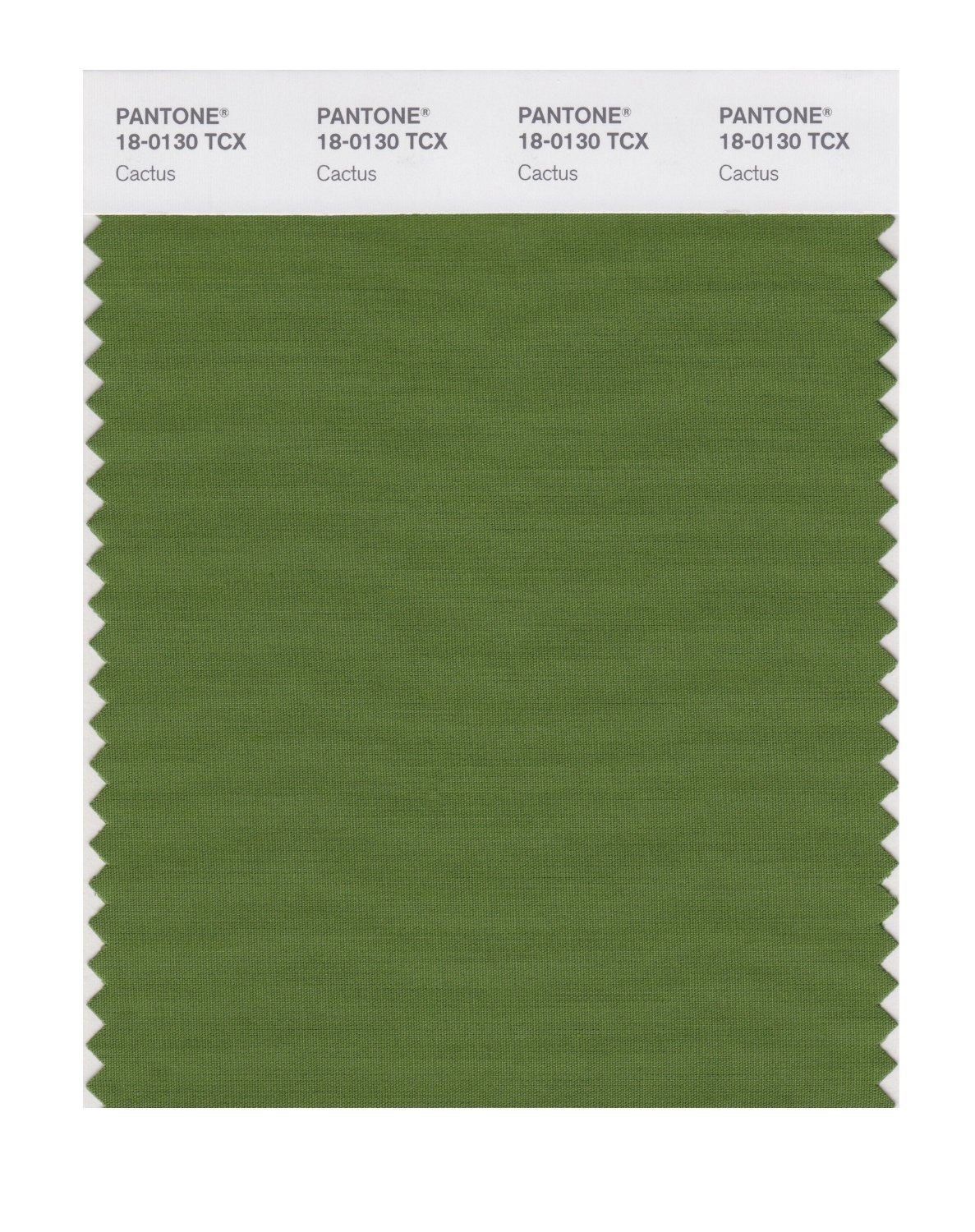 Pantone Cotton Swatch 18-0130 Cactus