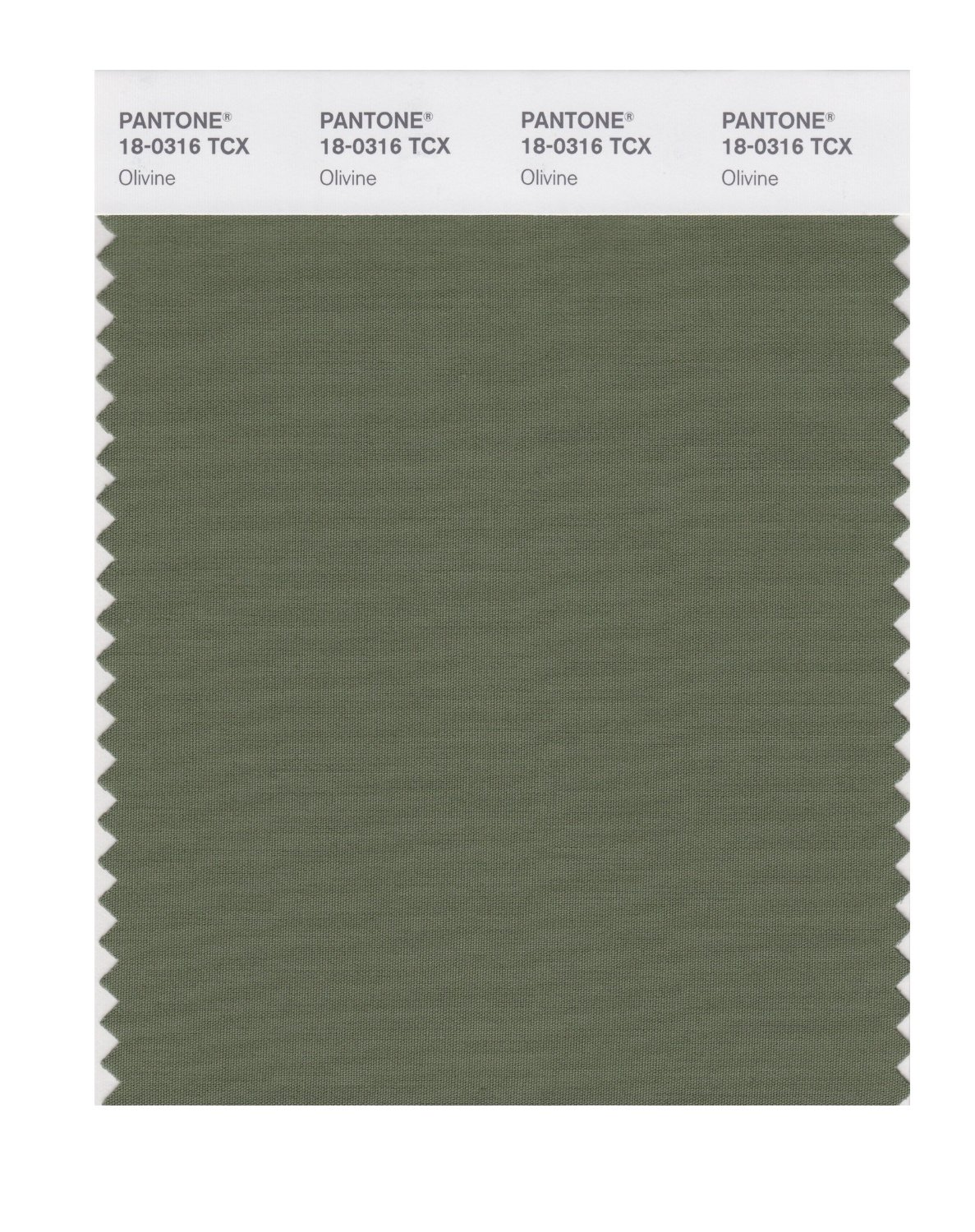 Pantone Cotton Swatch 18-0316 Olivine