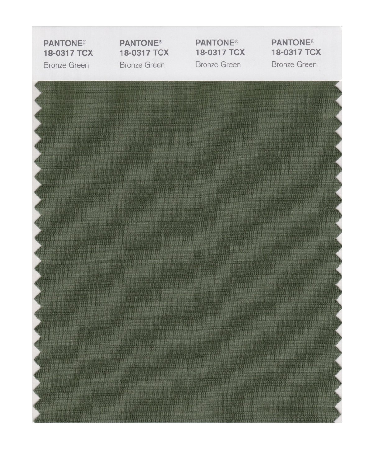 Pantone Cotton Swatch 18-0317 Bronze Green