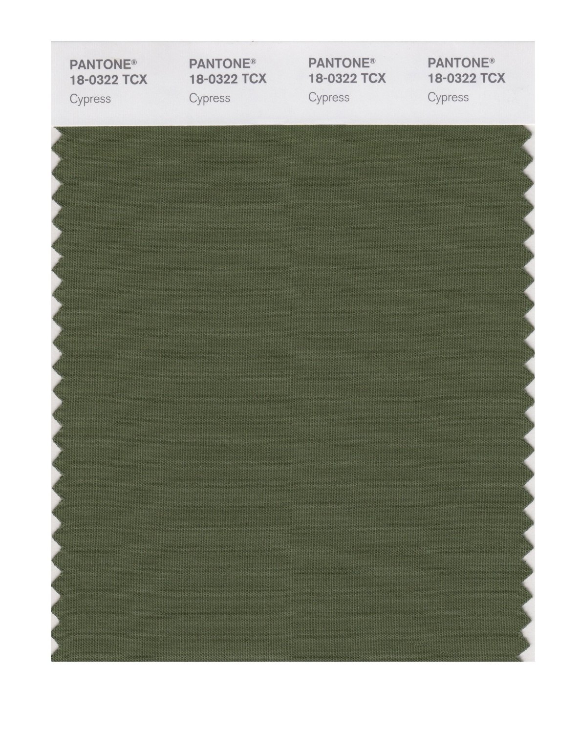 Pantone Cotton Swatch 18-0322 Cypress