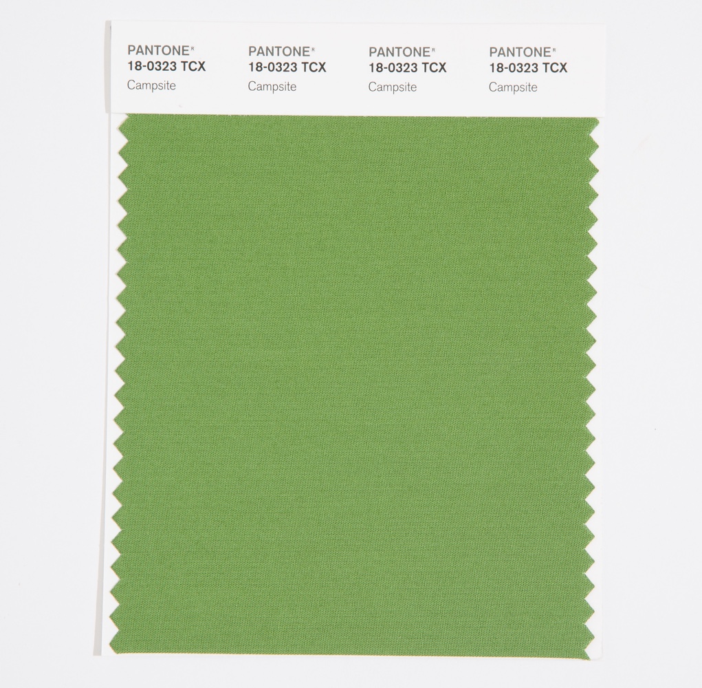 Pantone Cotton Swatch 18-0323 Campsite