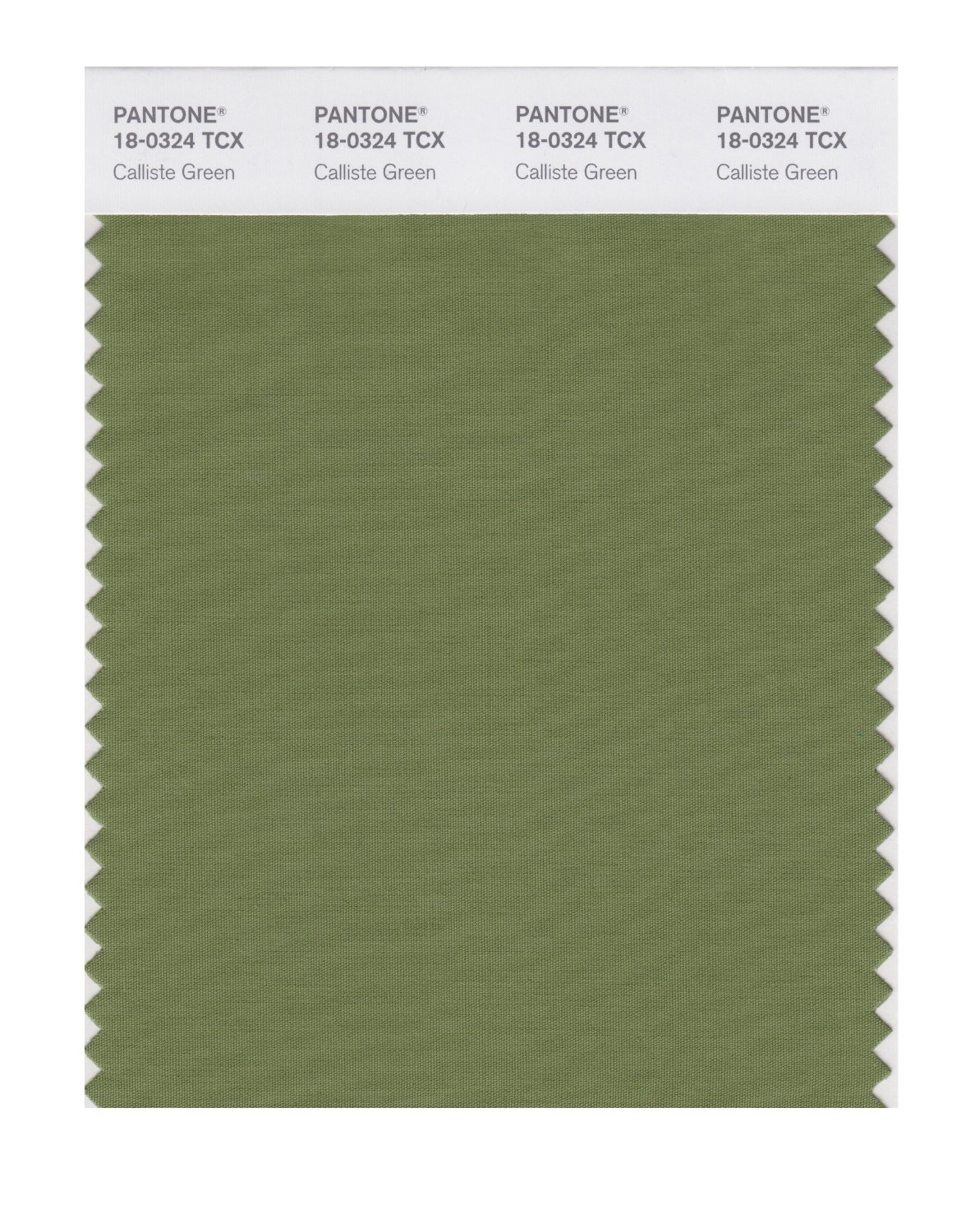 Pantone Cotton Swatch 18-0324 Calliste Green