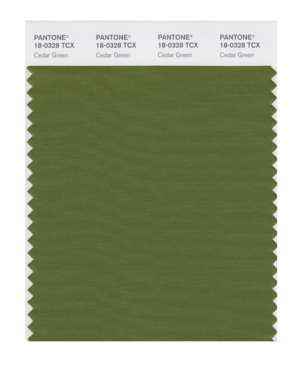 Pantone Cotton Swatch 18-0328 Cedar Green