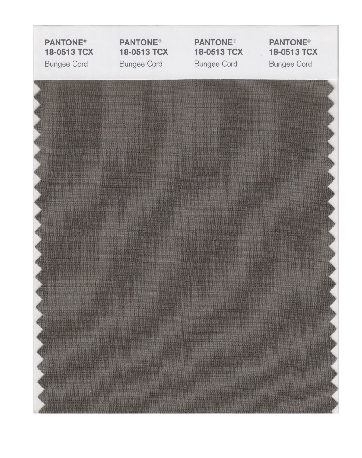 Pantone Cotton Swatch 18-0513 Bungee Cord