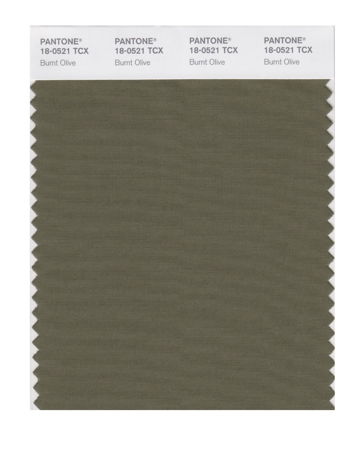 Pantone Cotton Swatch 18-0521 Burnt Olive