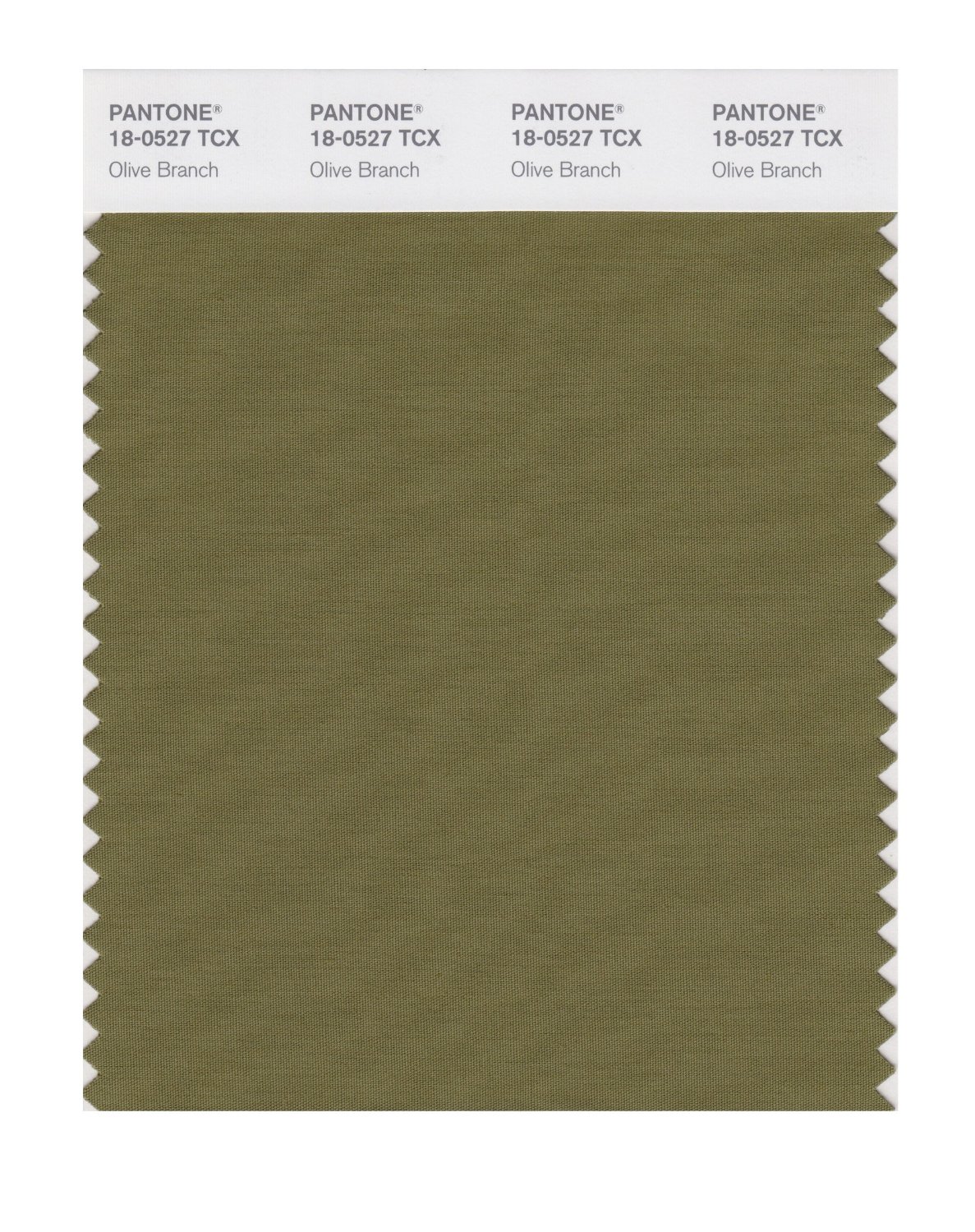 Pantone Cotton Swatch 18-0527 Olive Branch