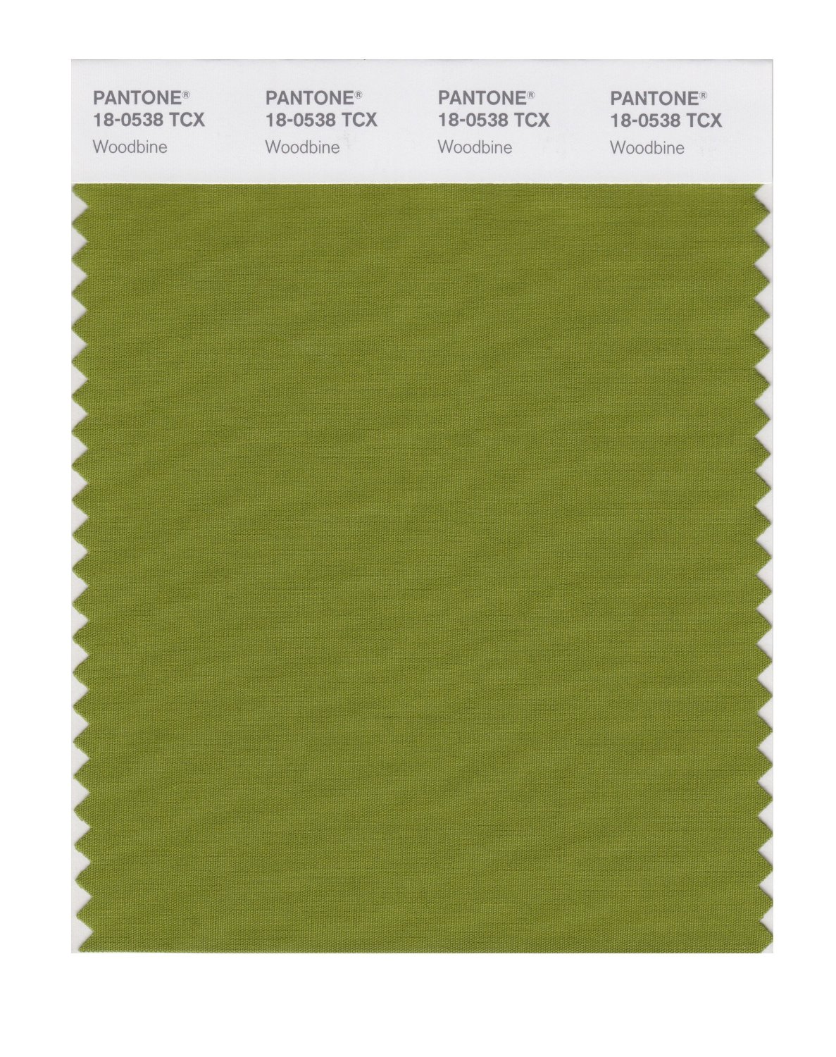 Pantone Cotton Swatch 18-0538 Woodbine