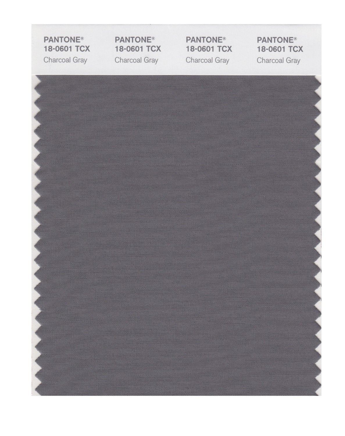 Pantone Cotton Swatch 18-0601 Charcoal Gray