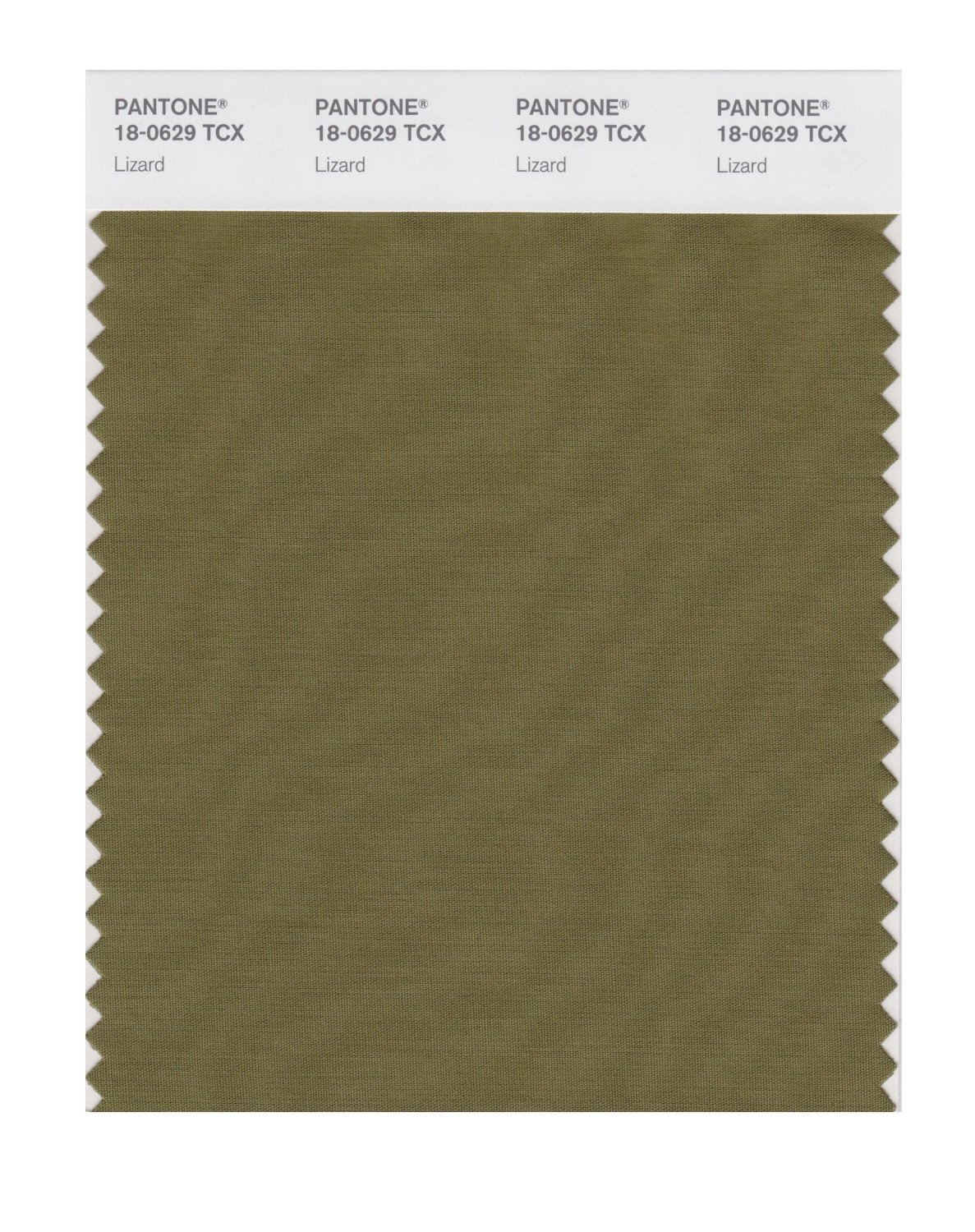 Pantone Cotton Swatch 18-0629 Lizard