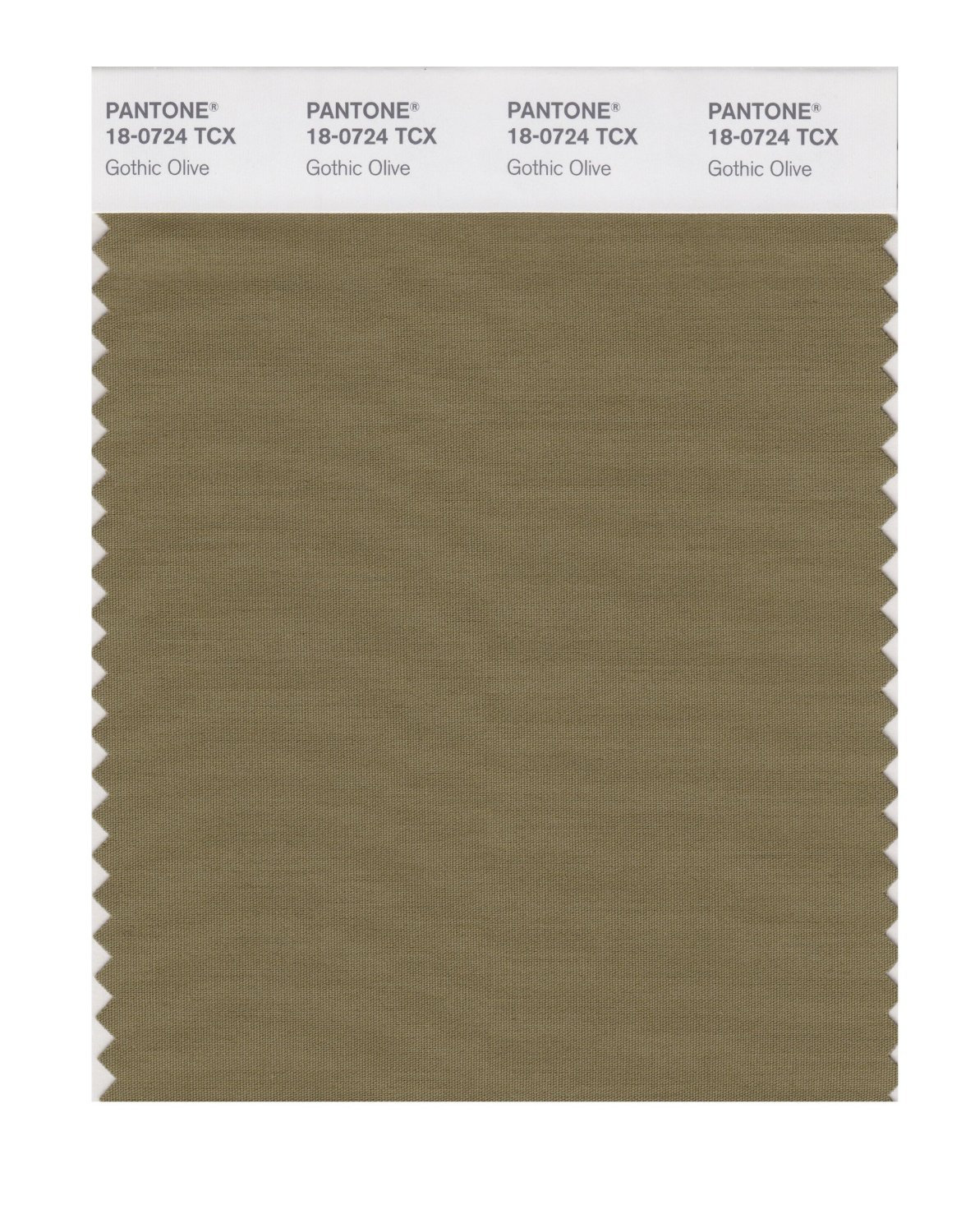 Pantone Cotton Swatch 18-0724 Gothic Olive