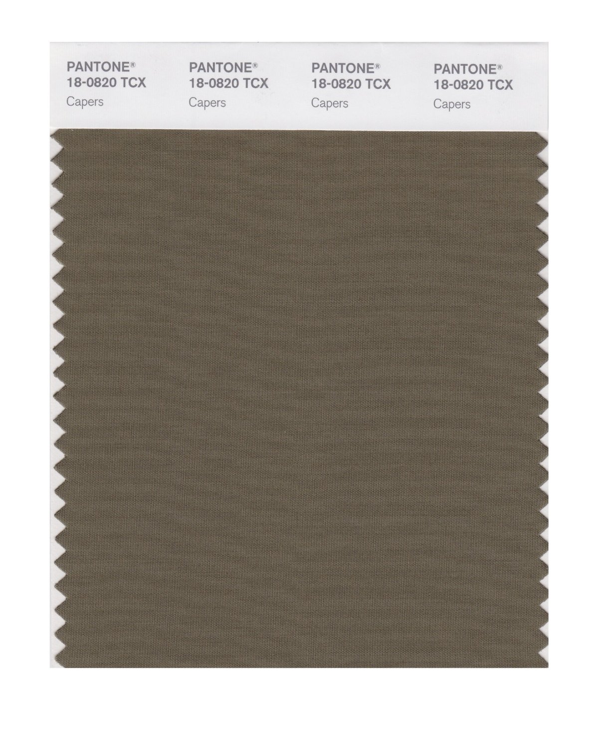 Pantone Cotton Swatch 18-0820 Capers