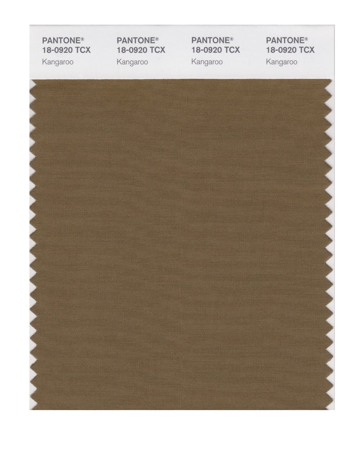 Pantone Cotton Swatch 18-0920 Kangaroo