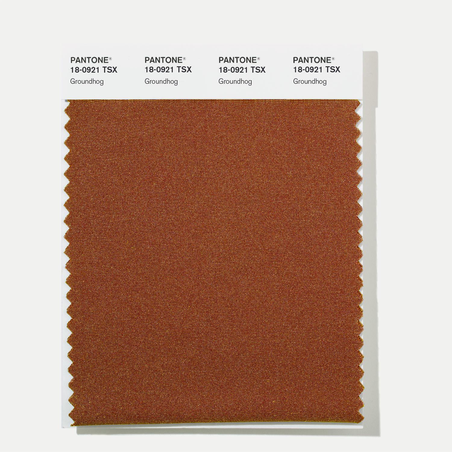 Pantone Polyester Swatch 18-0921 Groundhog