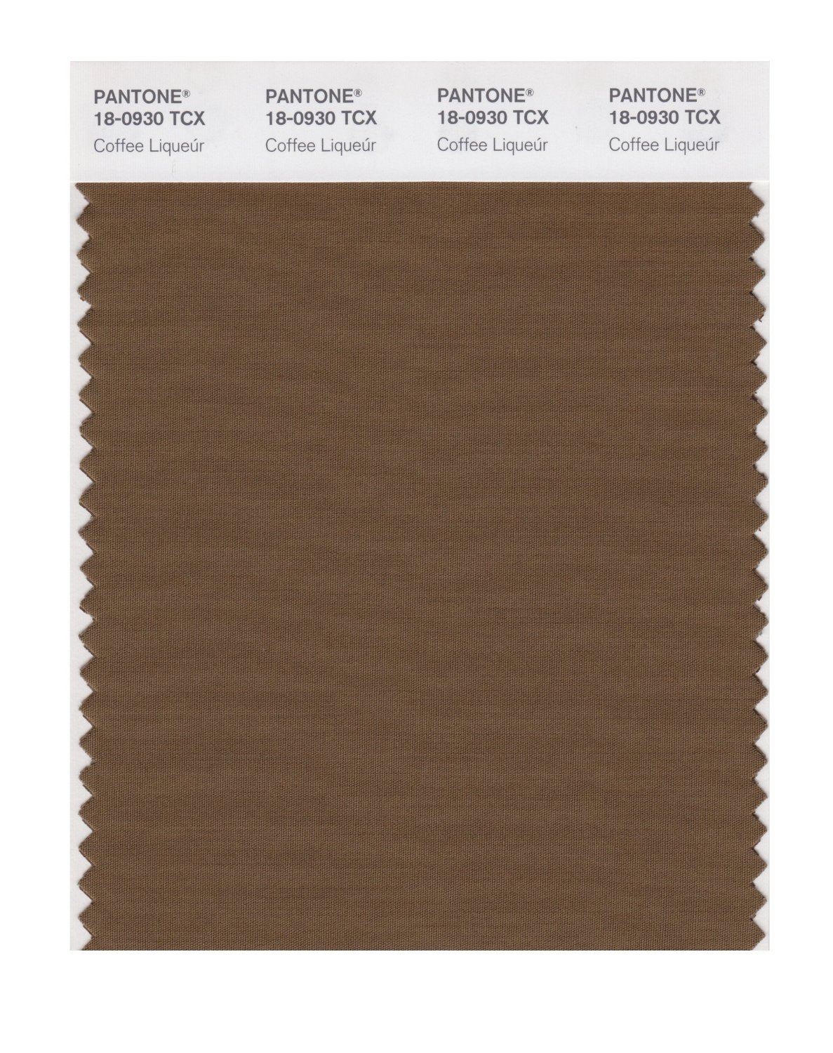 Pantone Cotton Swatch 18-0930 Coffee Liqueur